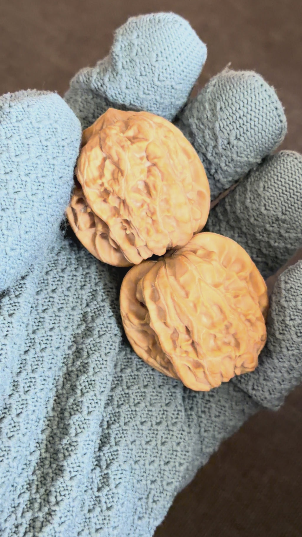 Plantain Fan Wenwan Walnut · 37mm · Natural · Select Ritual