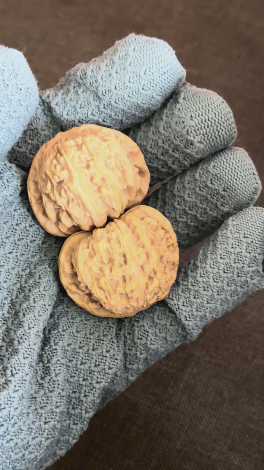 White Lion Wenwan Walnut· 38mm · Natural · Select Ritual