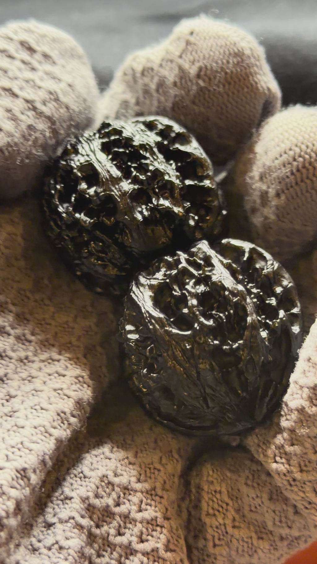 Ground Buried Apple Orchard Wenwan Walnut · 36mm · Select Ritual