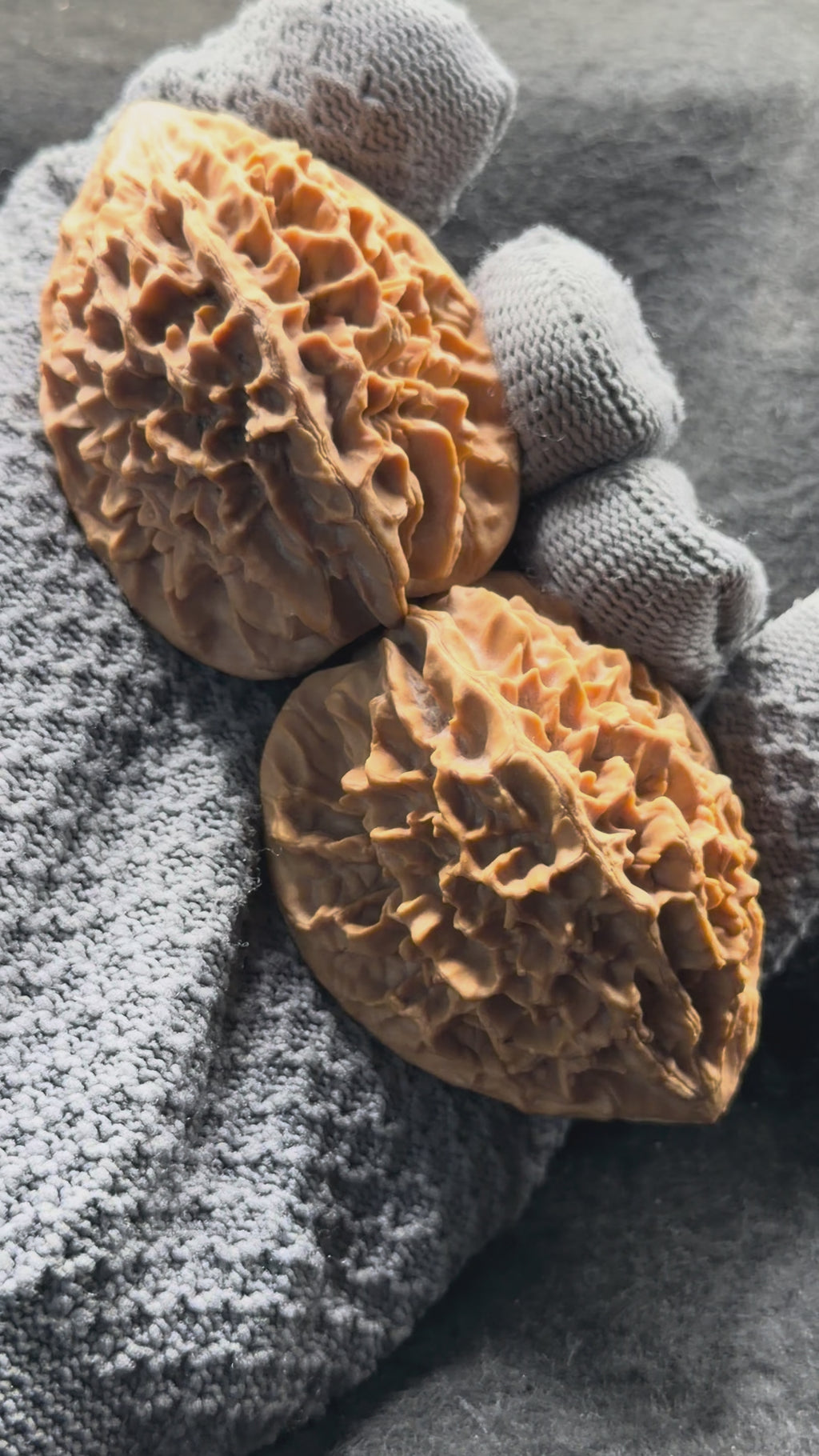 Fortune Rat Wenwan Walnut · 56mm · Natural · Premium Ritual