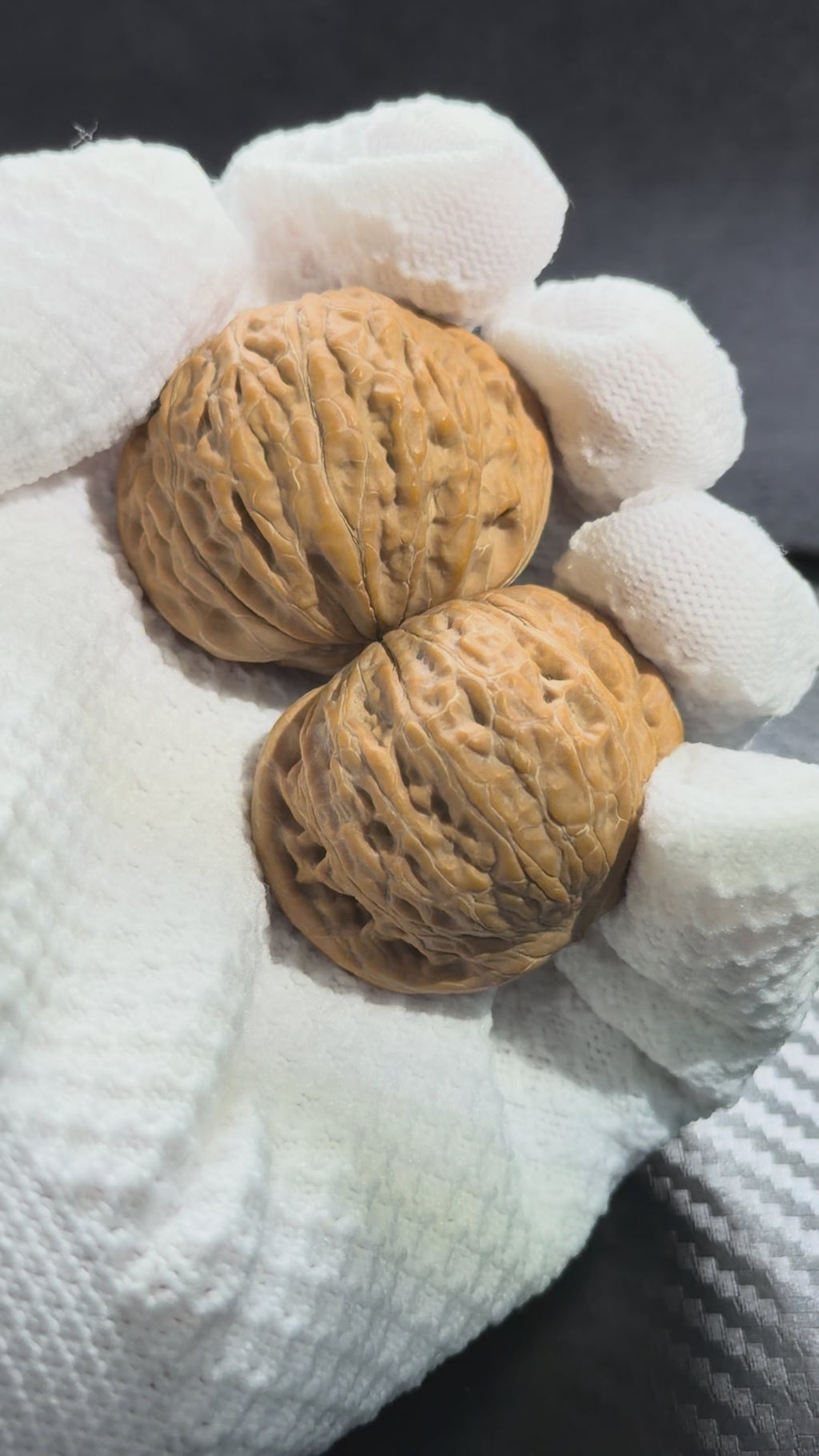 Iron Hammer Wenwan Walnut · 40.7/40.8mm · Natural · Premium Ritual