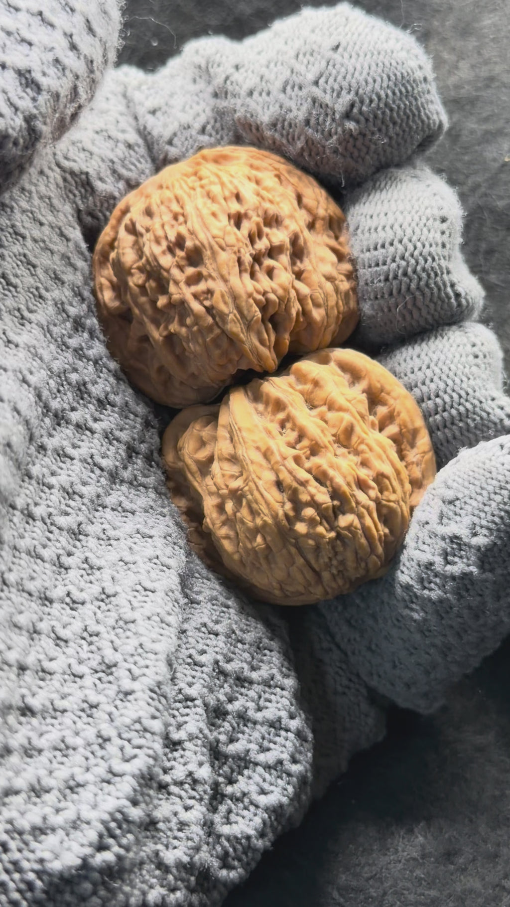 Dense Grain Wenwan Walnut · 37mm · Natural · Entry Ritual