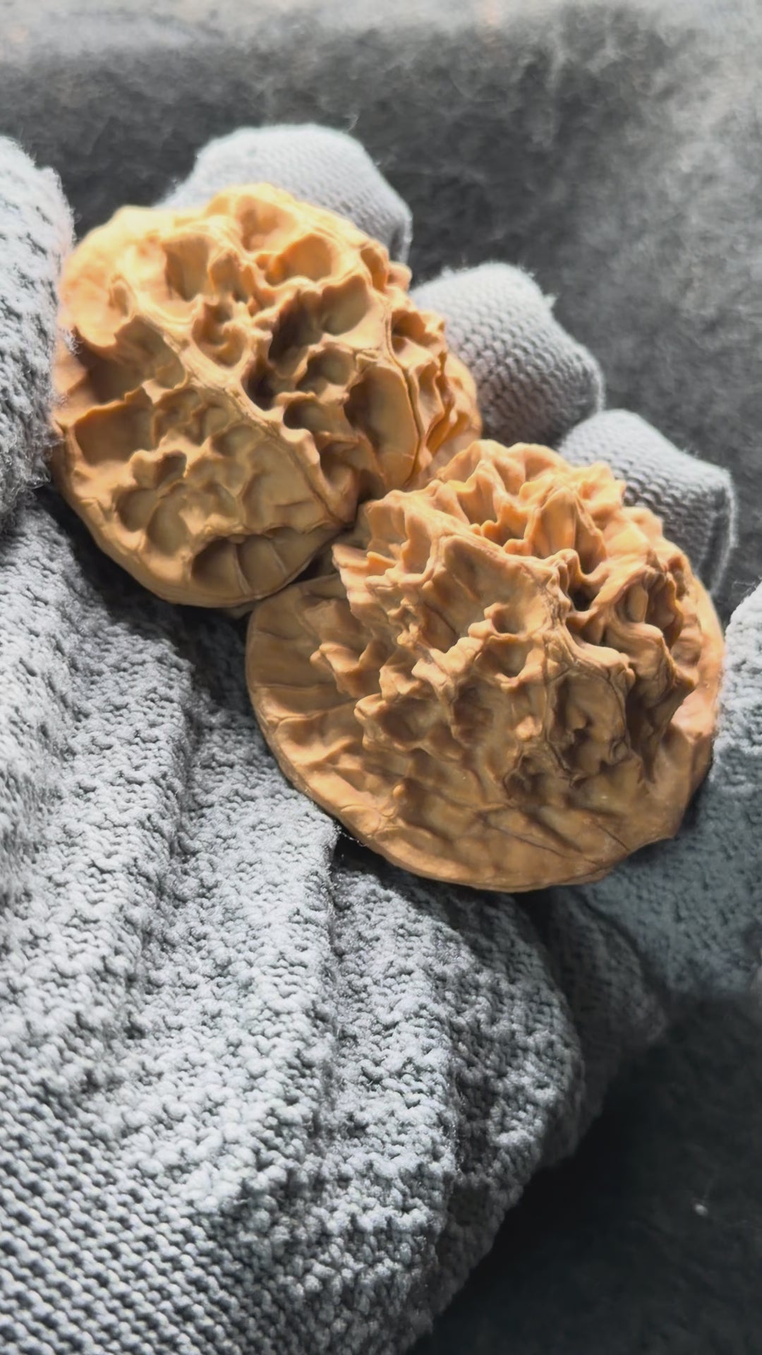 Emperor Wenwan Walnut  · 46mm · Select Ritual