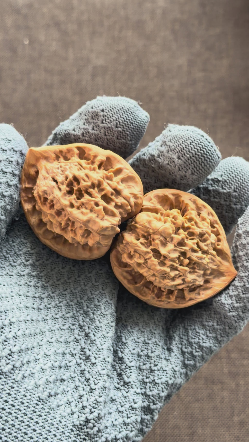 Snake Head Wenwan Walnut