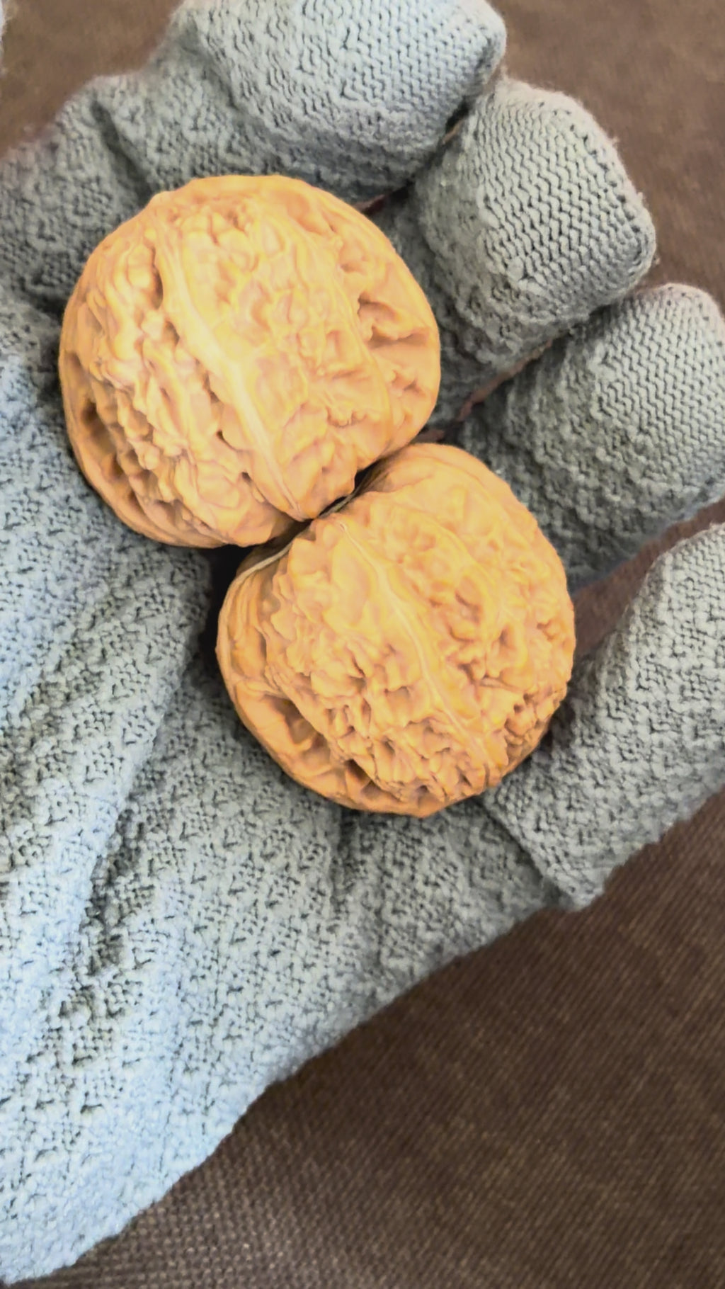 White Lion Wenwan Walnut · 38mm · Natural · Entry Ritual