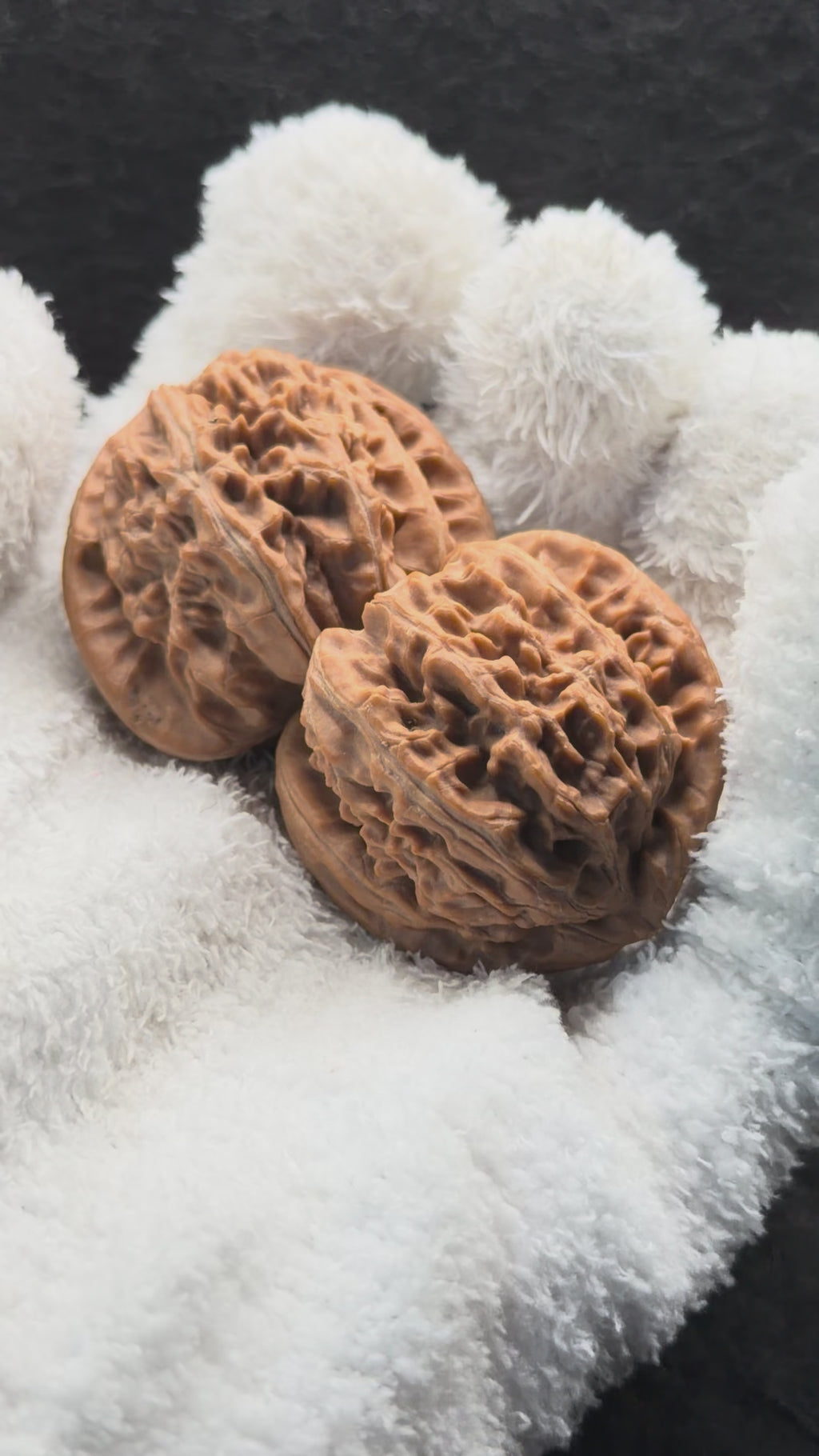 White Lion Wenwan Walnut · 38mm · Natural · Entry Ritual