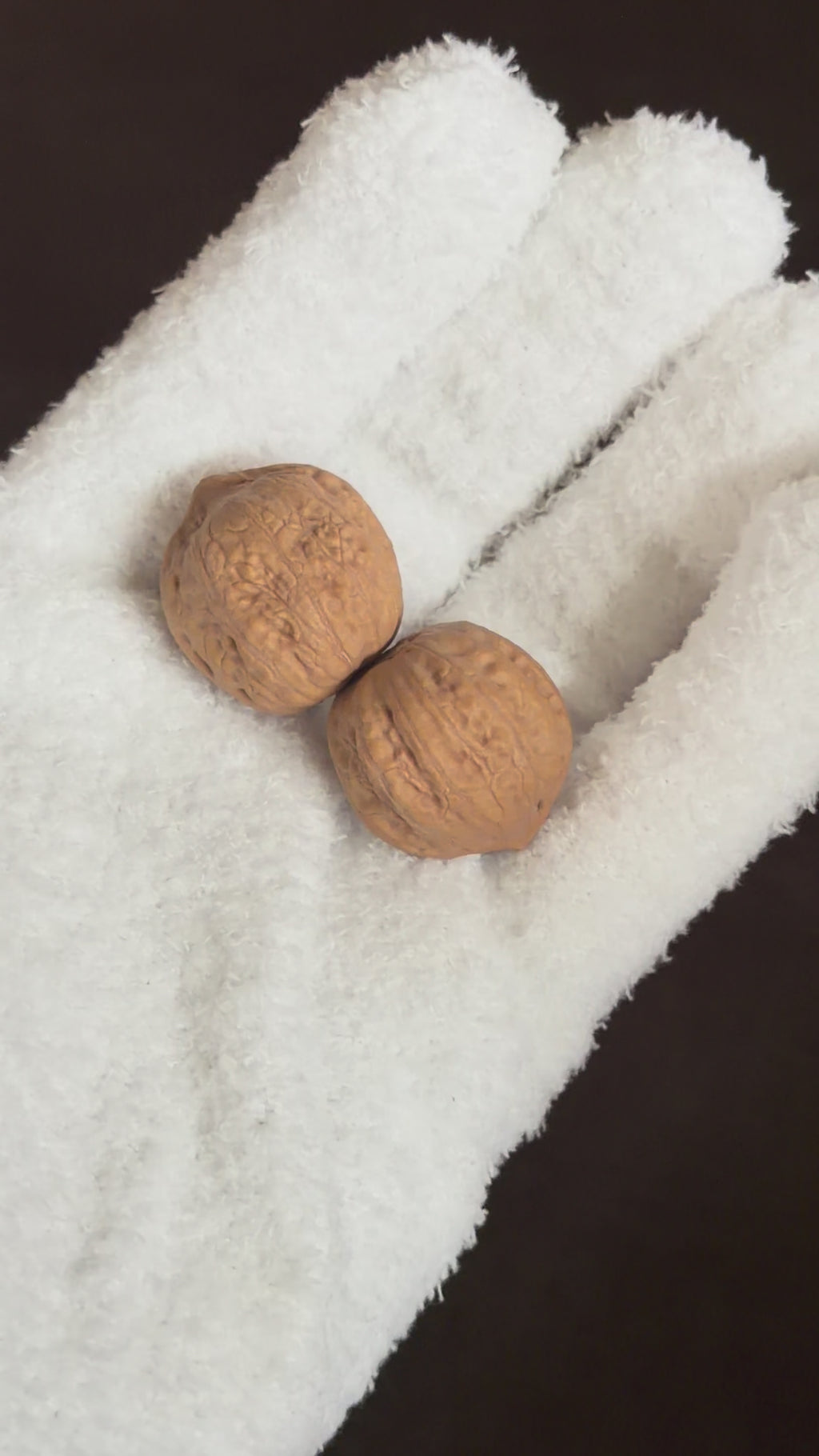 Mini Catalpa Wenwan Walnut