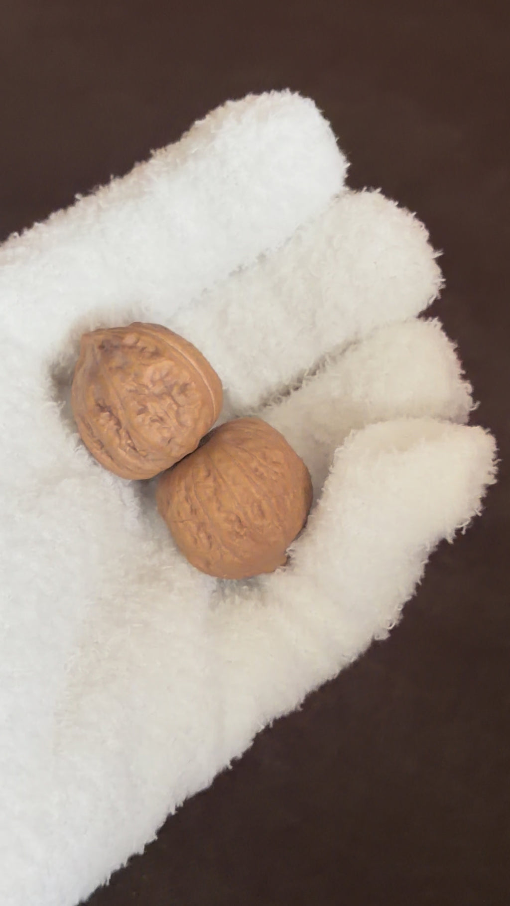 Mini Catalpa Walnut