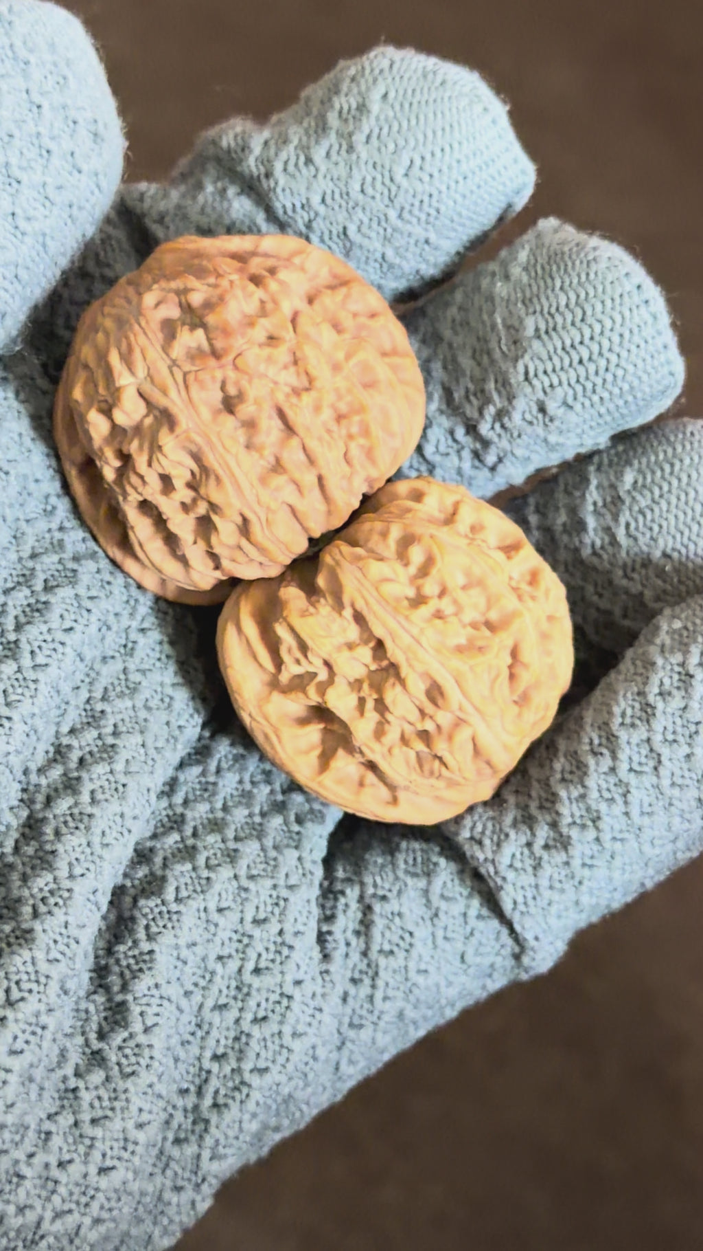White Lion Wenwan Walnut · 37mm · Natural · Entry Ritual