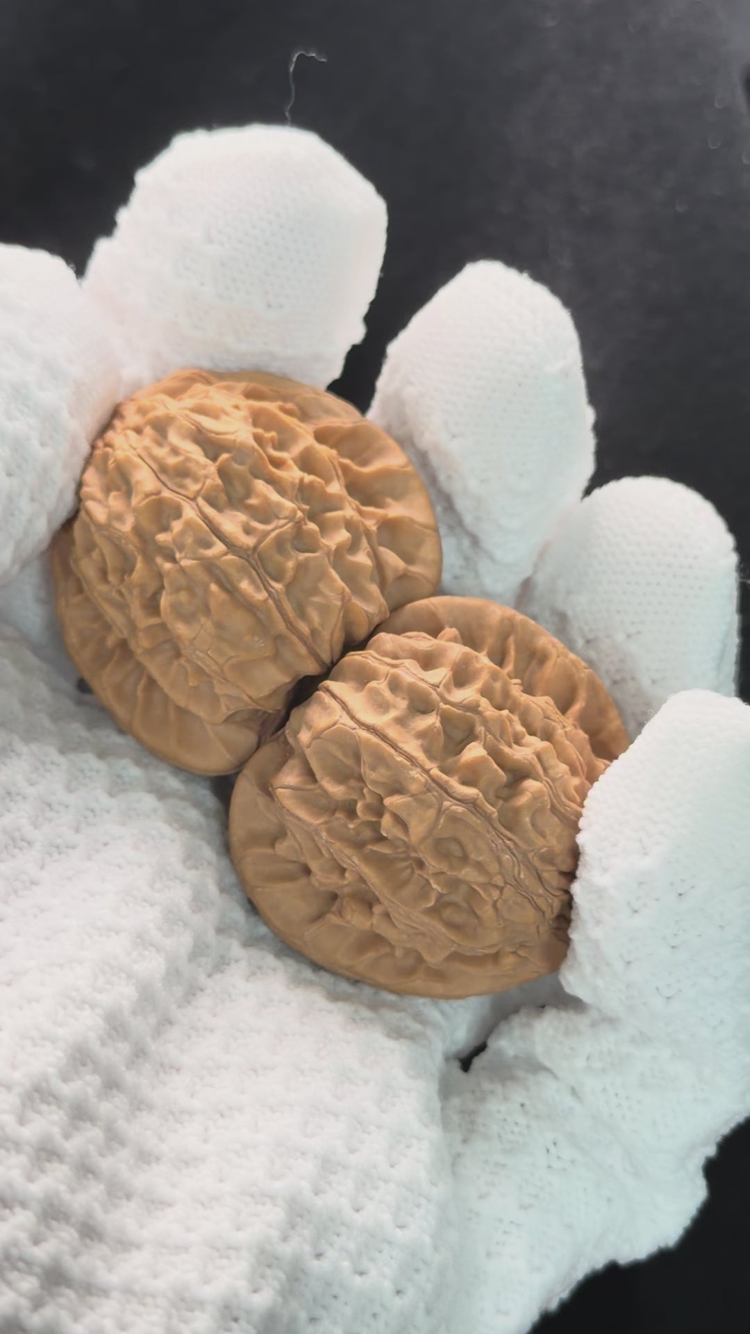 Xiayunling Wenwan Walnut · 37mm · Natural · Select Ritual