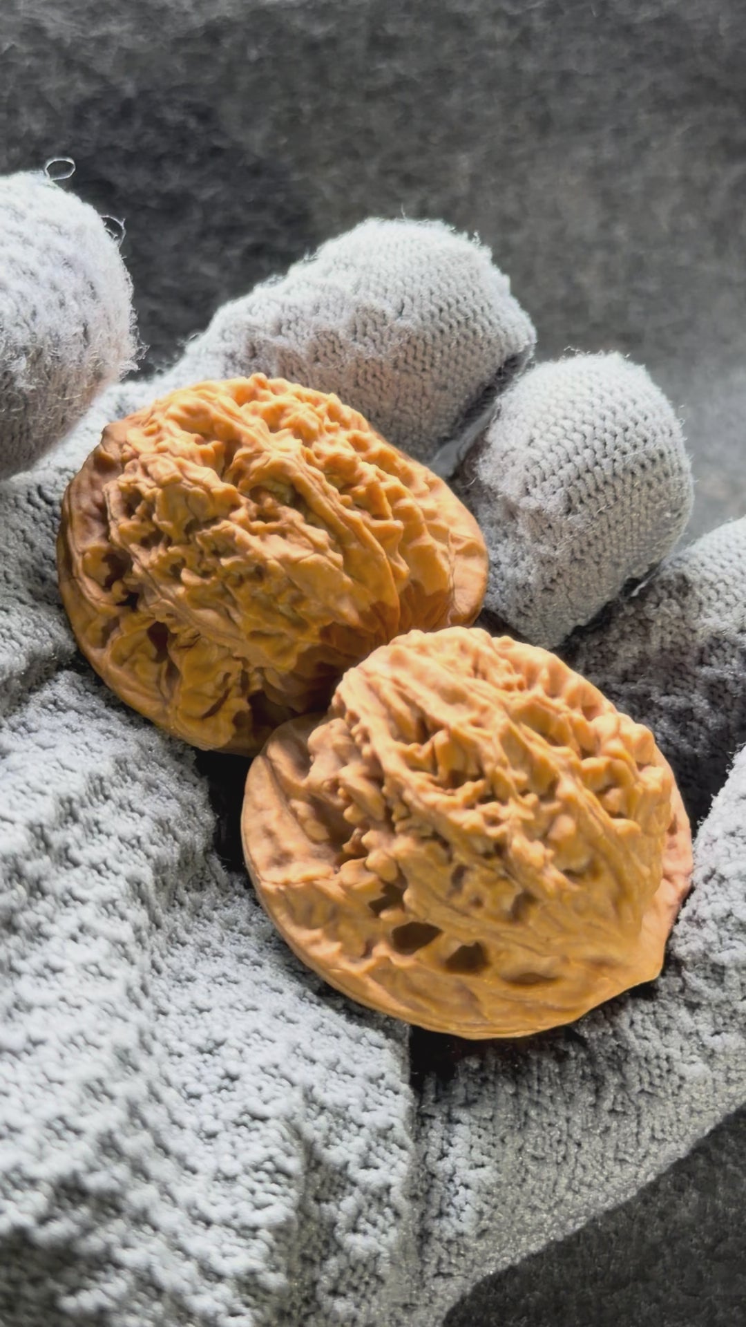 Coiling Dragon Wenwan Walnut  · 42mm · Natural · Entry Ritual