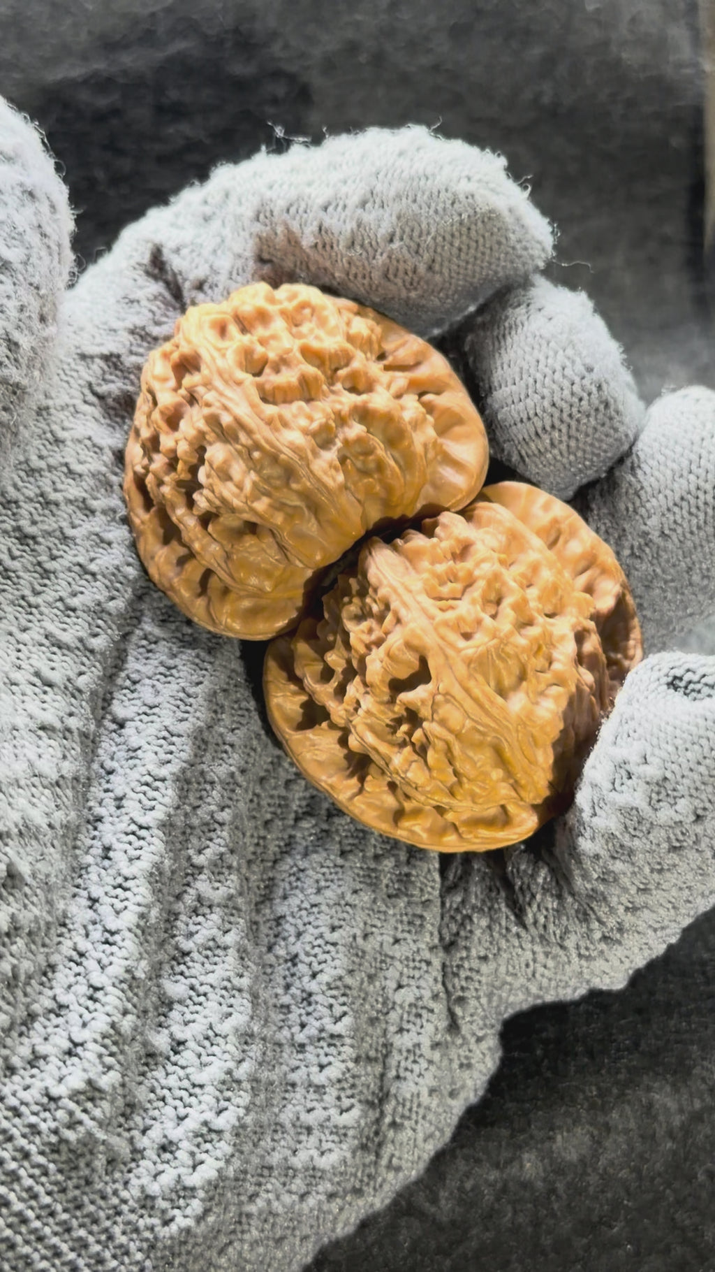 White Lion Wenwan Walnut · 42mm · Select Ritual
