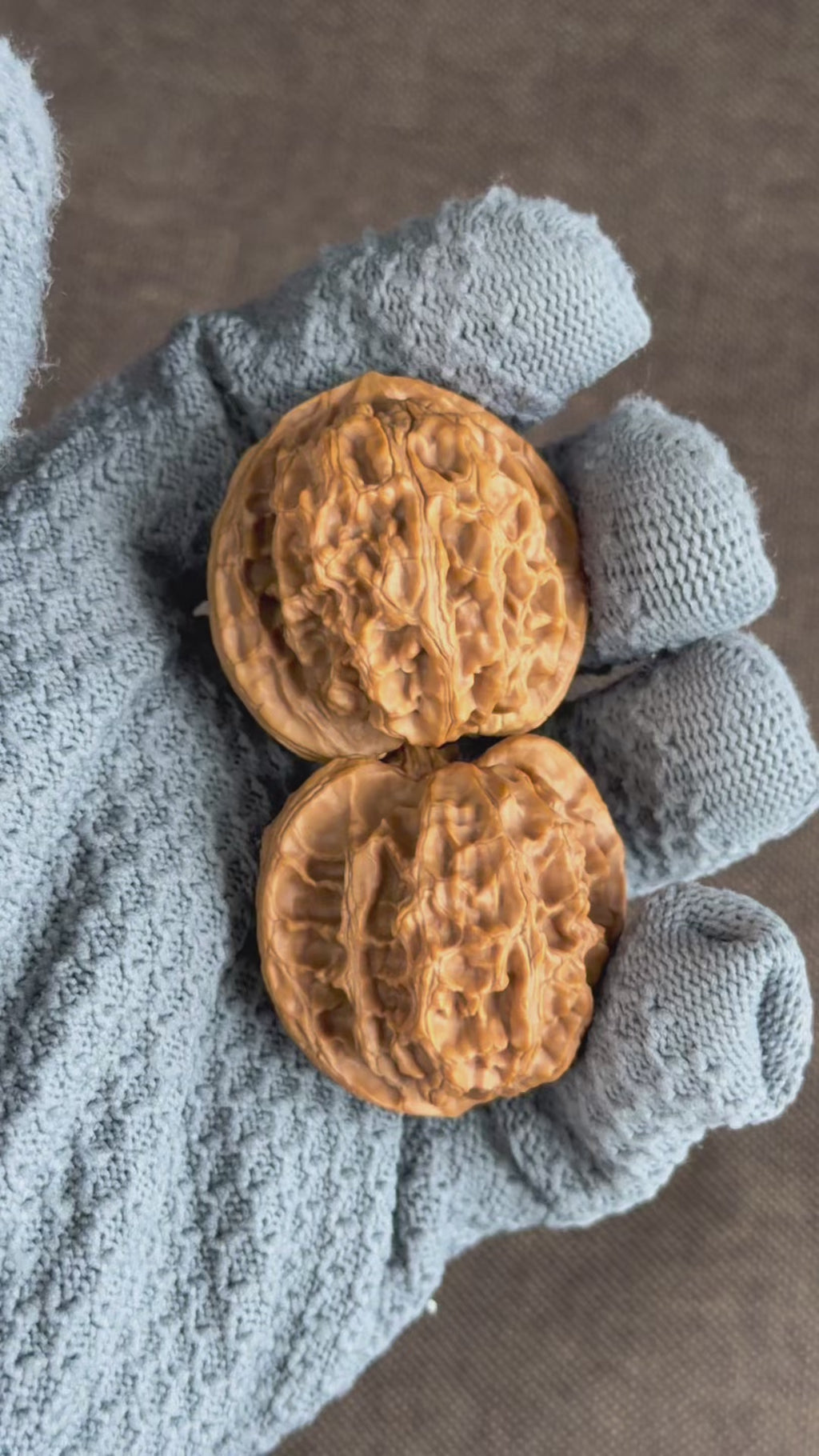Apple Orchard Wenwan Walnut