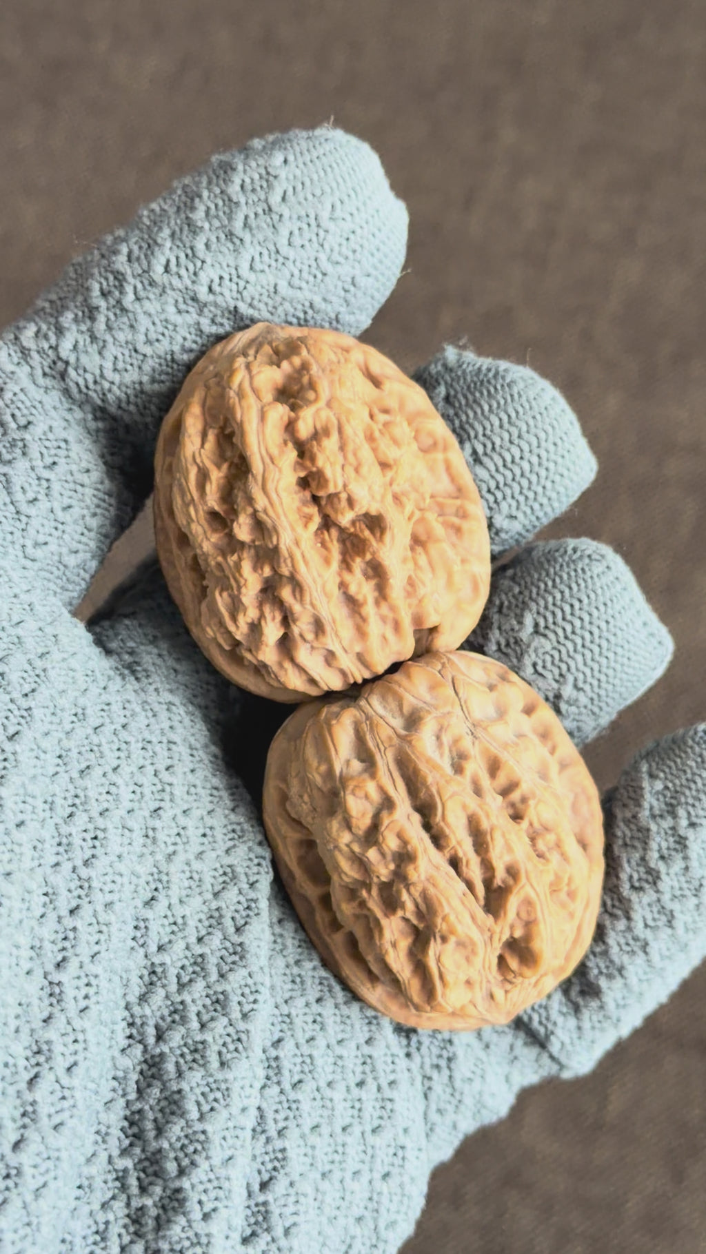 Northwest General Shoulder Wenwan Walnut