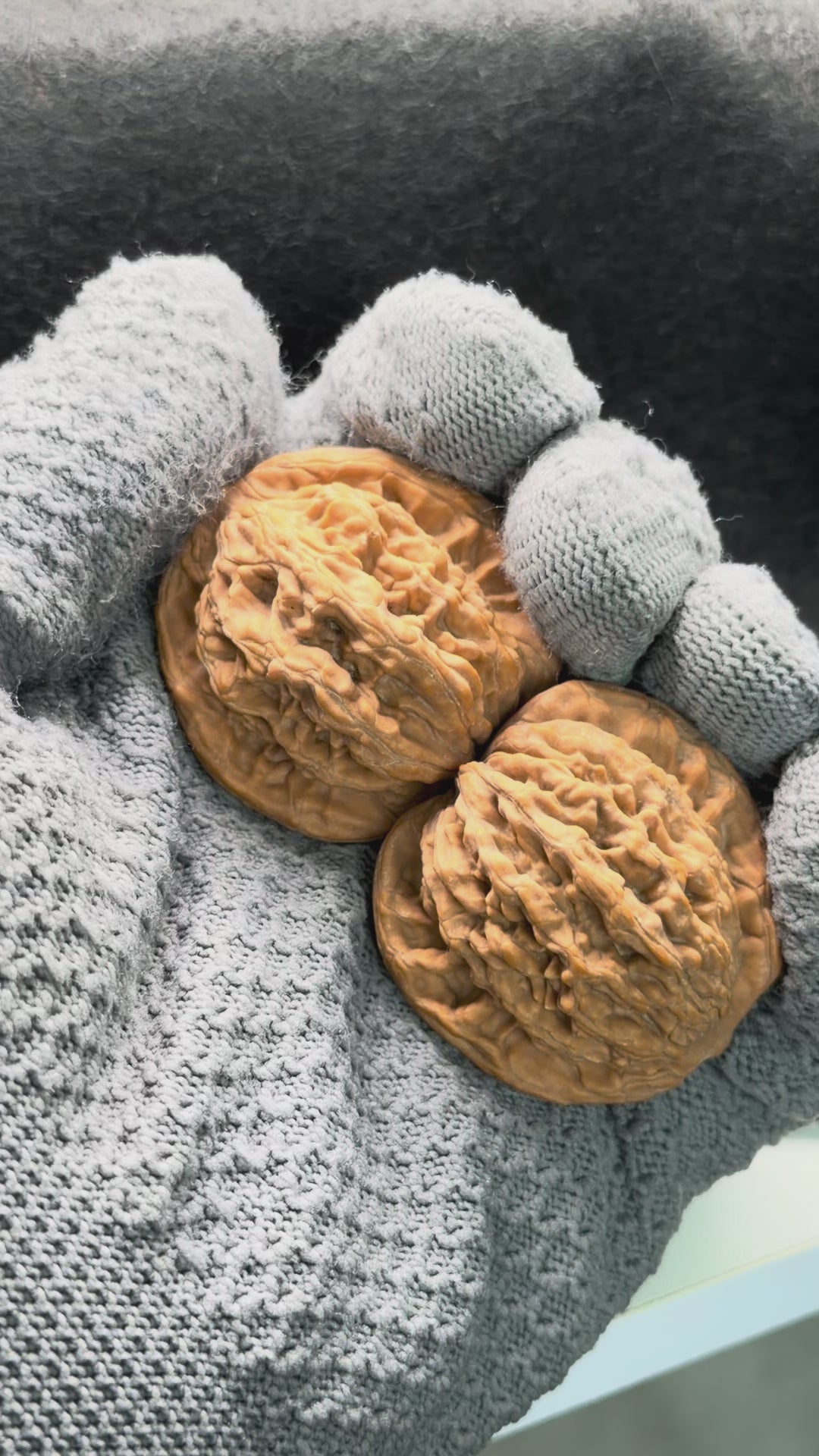 Wheat Ear Tiger Head Wenwan Walnut  · 41mm · Natural · Entry Ritual