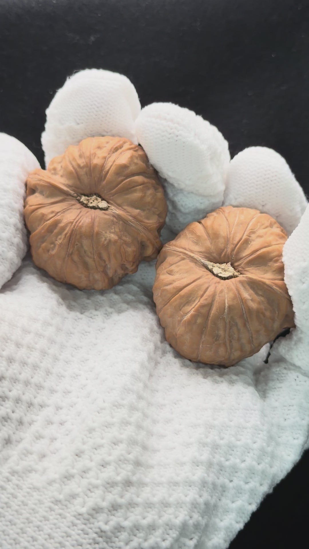 Pumpkin Wenwan Walnut · 40mm · Natural · Select Ritual