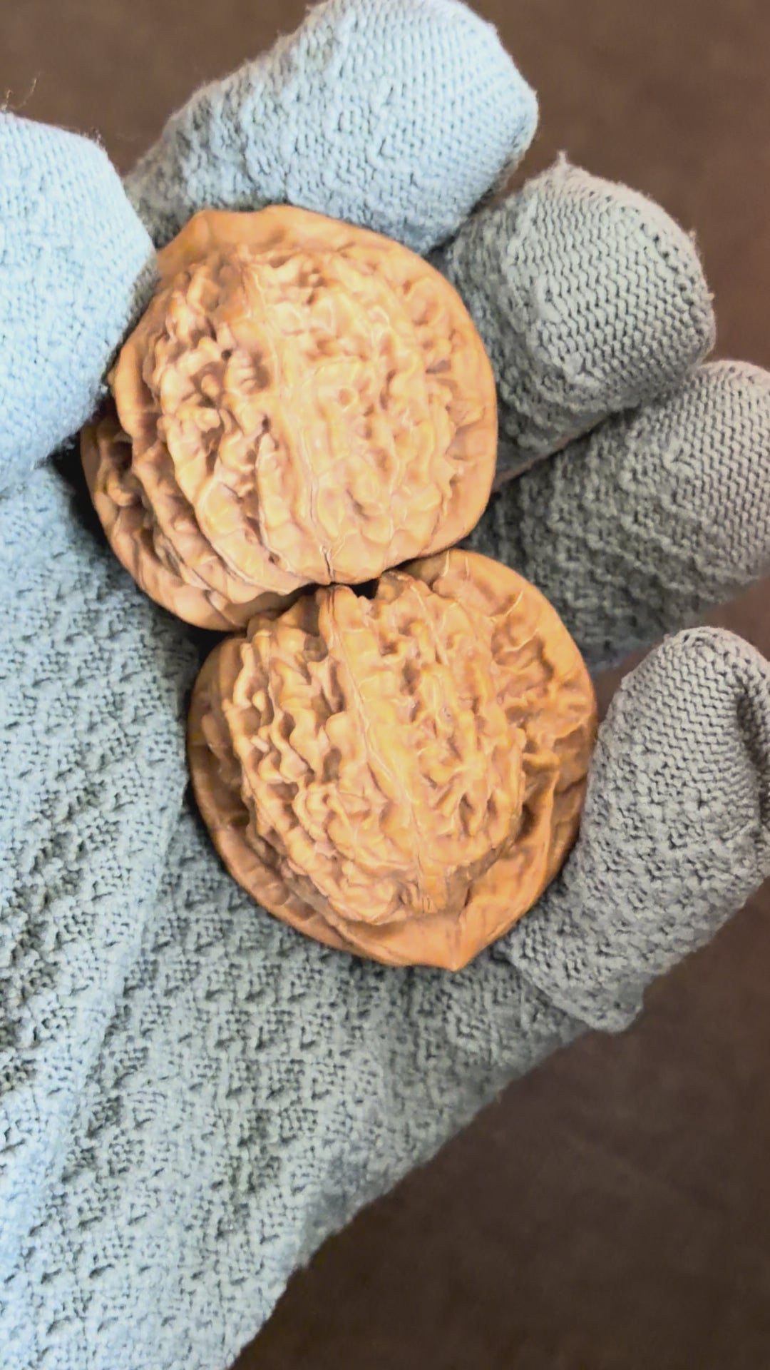 Golden Kirin Wenwan Walnut· 41mm · Natural · Collector Ritual