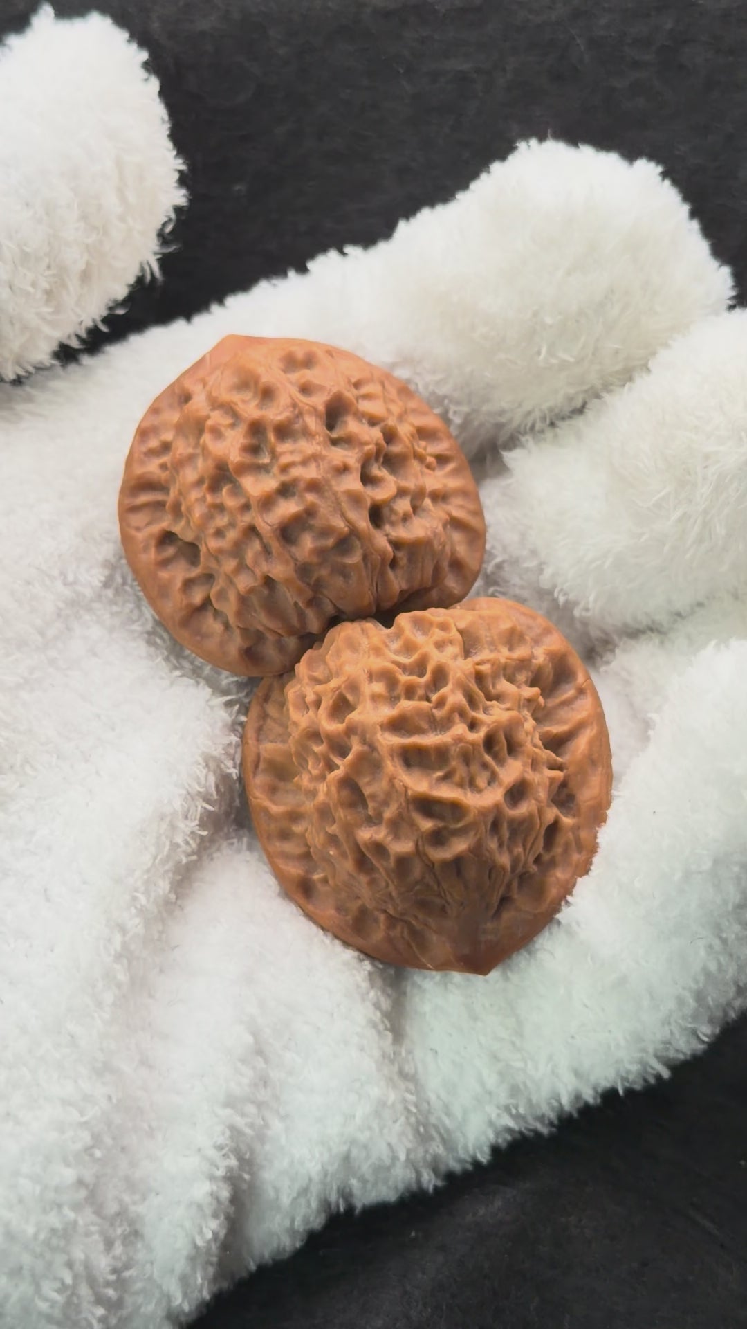 Dragon Prince Wenwan Walnut · 36mm · Select Ritual