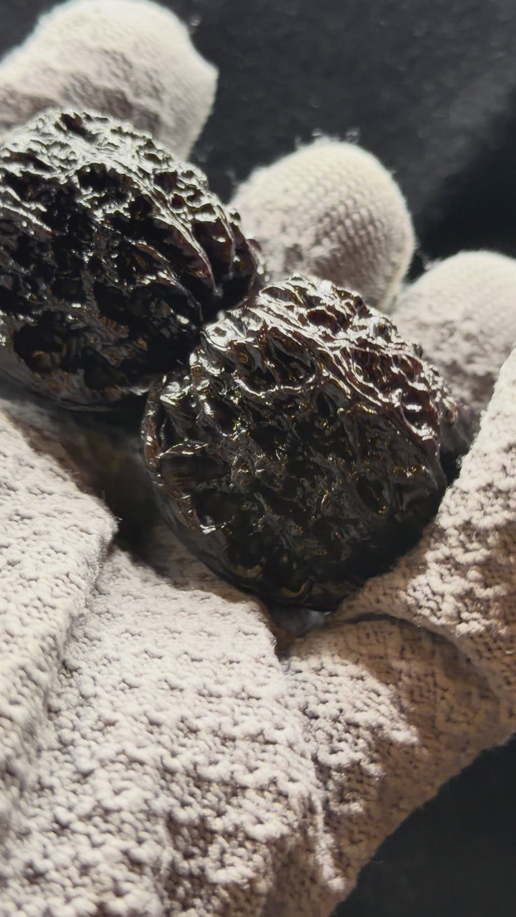Ground Buried Nanjiang Stone Wenwan Walnut · 38mm · Select Ritual