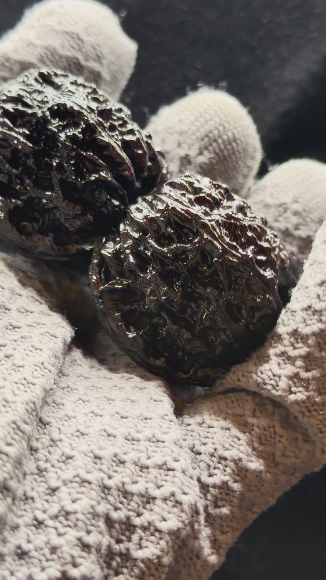 Ground Buried Nanjiang Stone Wenwan Walnut · 38mm · Select Ritual