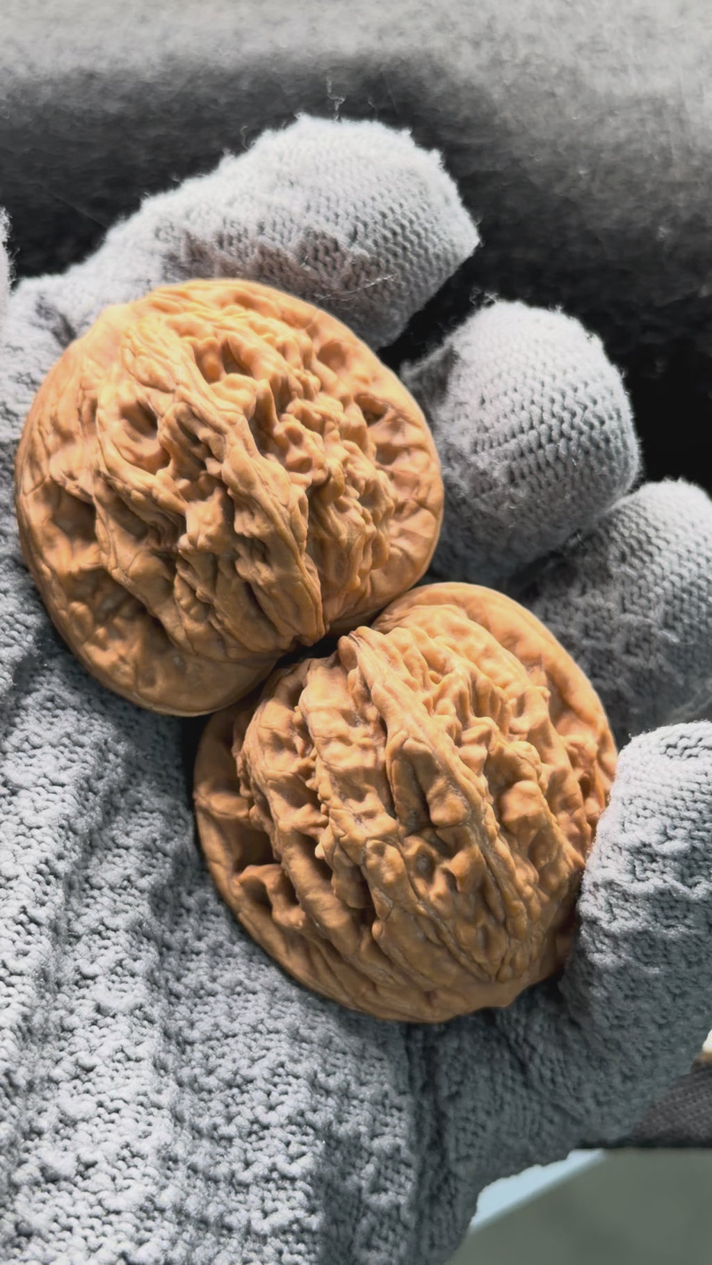 Wheat Ear Tiger Head Wenwan Walnut · 42mm · Natural · Select Ritual