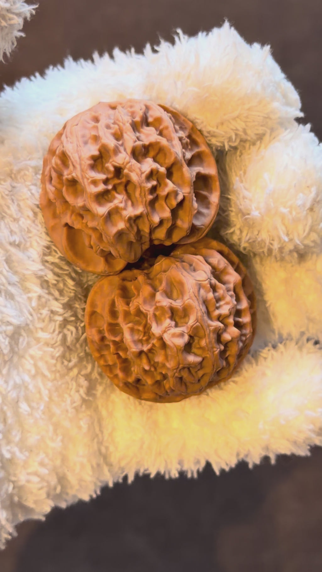 Apple Orchard Wenwan Walnut