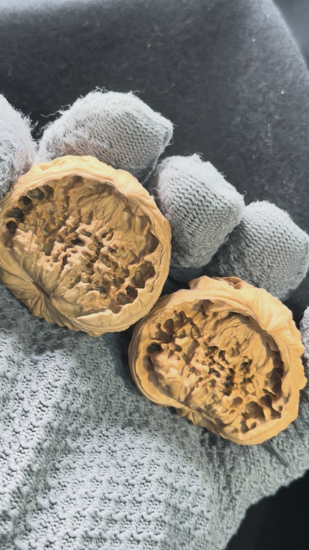 Snake Head Wenwan Walnut  · 43mm · Natural · Premium Ritual