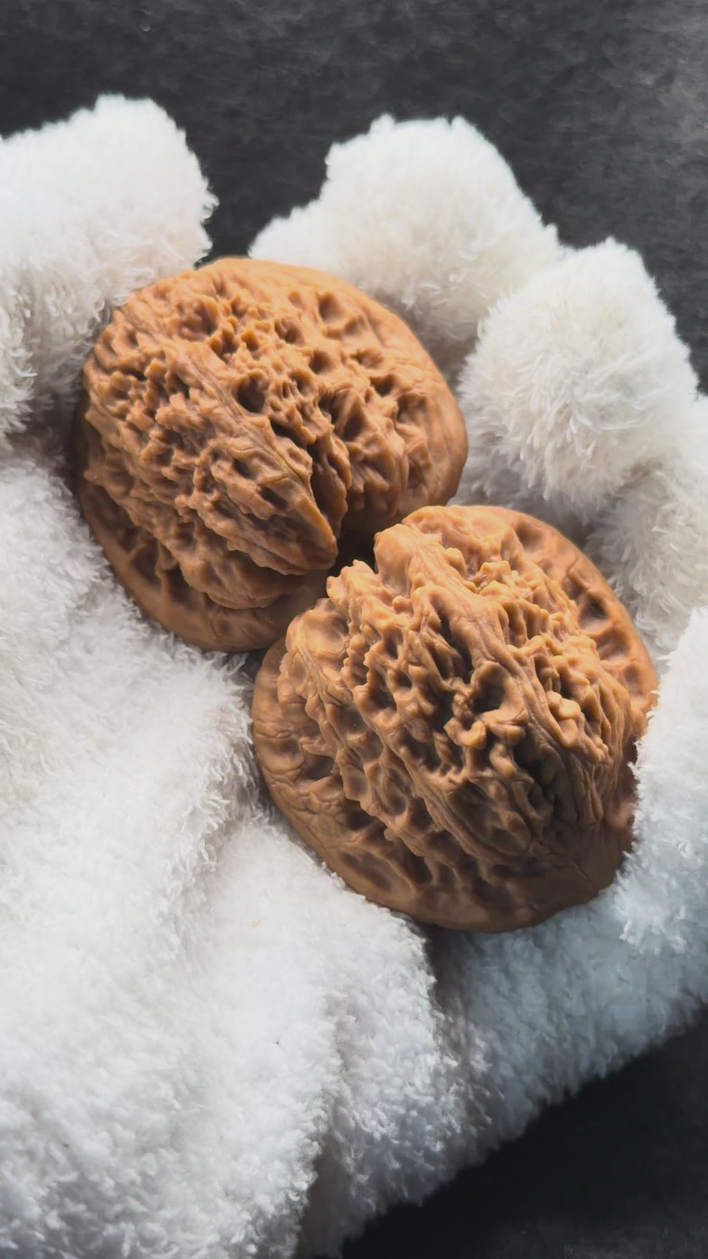 Ant King Wenwan Walnut  · 40mm · Natural · Select Ritual