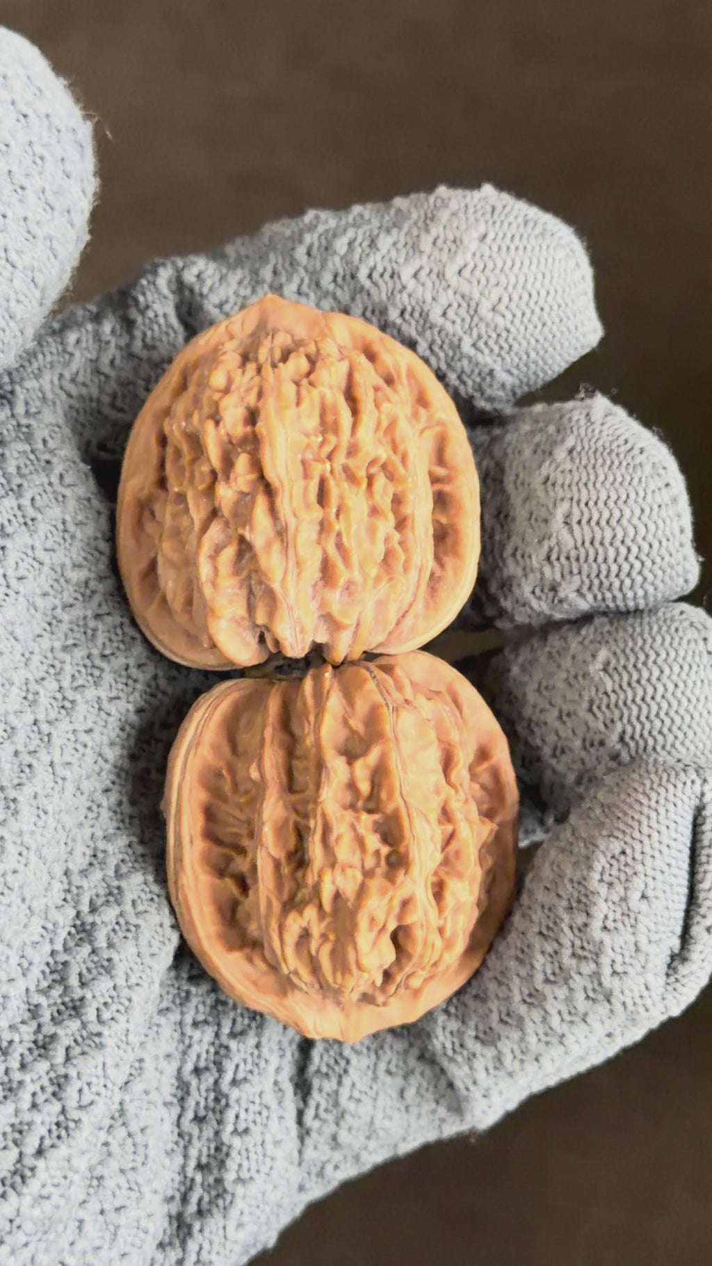 Four Towers Wenwan Walnut