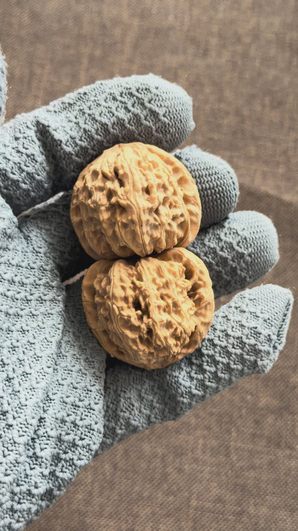 White Lion Head Wenwan Walnut