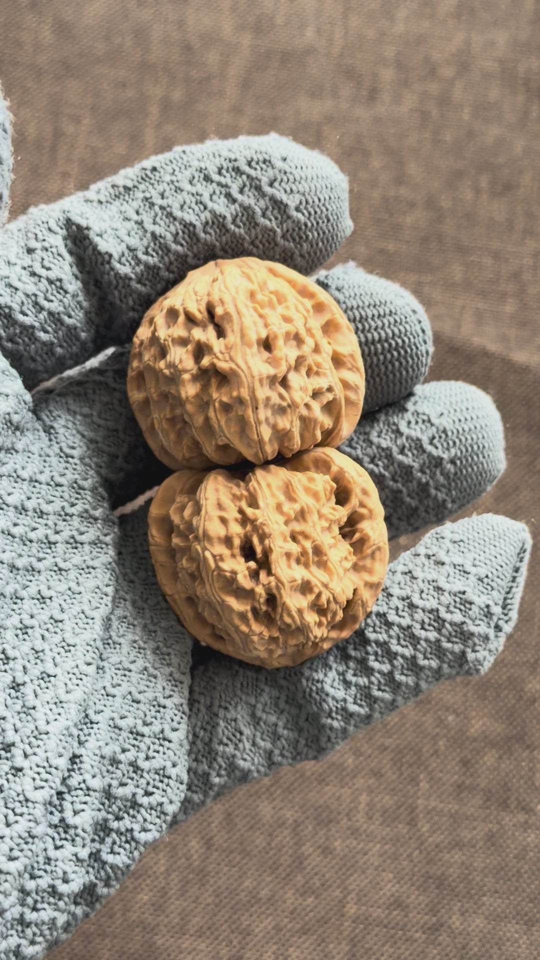 White Lion Head Wenwan Walnut