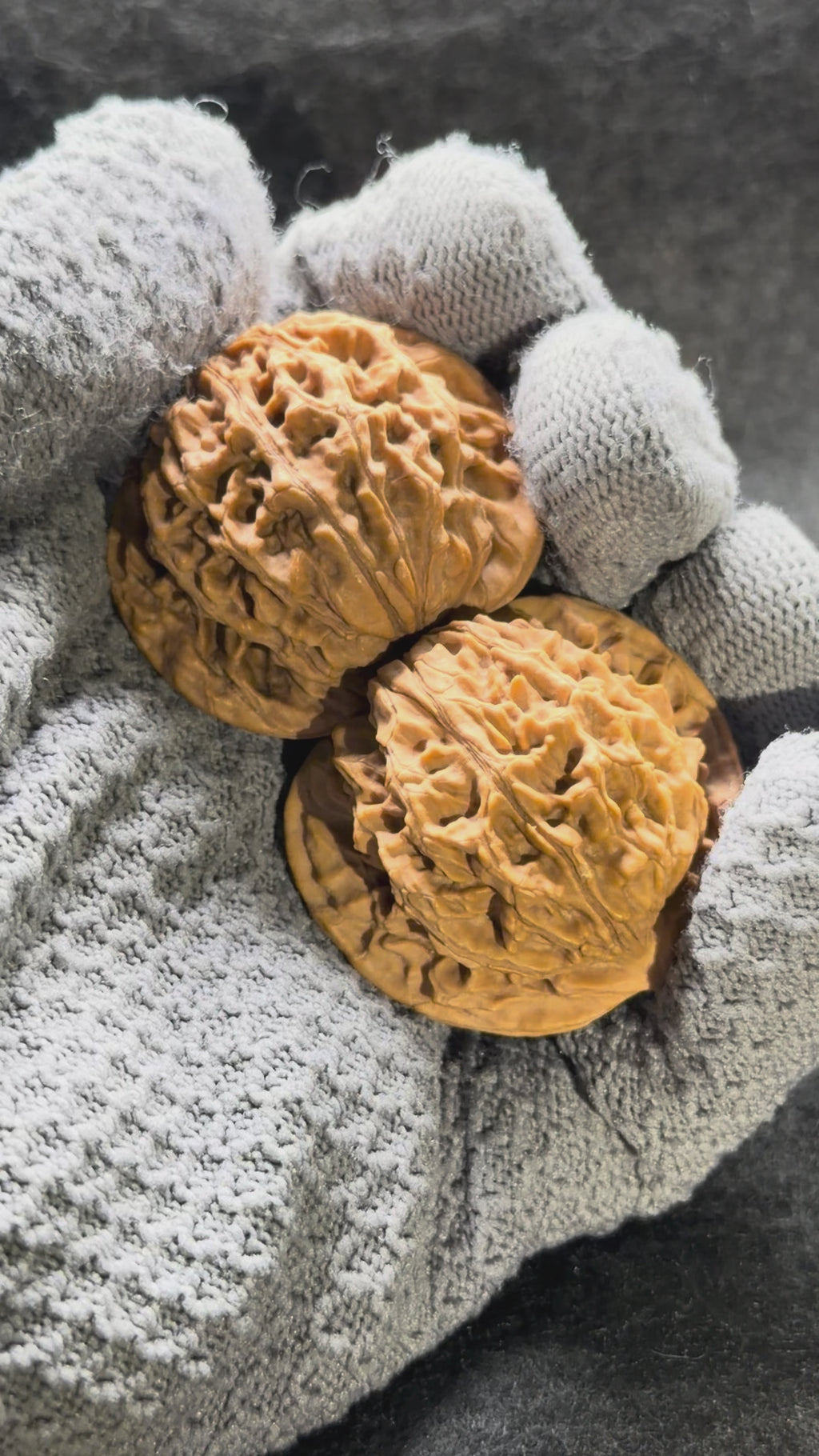 Coiling Dragon Wenwan Walnut · 41mm · Natural · Select Ritual