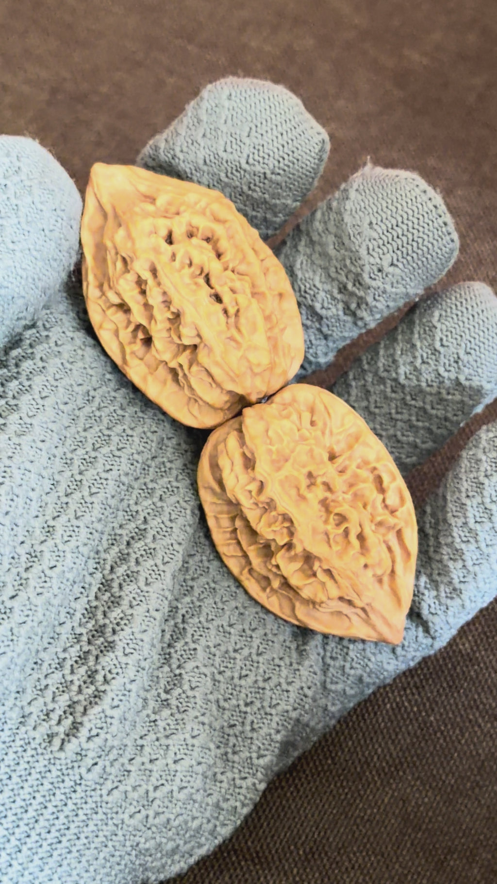 Sabertooth Tiger Wenwan Walnut (Rare Variety) · 36mm · Natural · Collector Ritual
