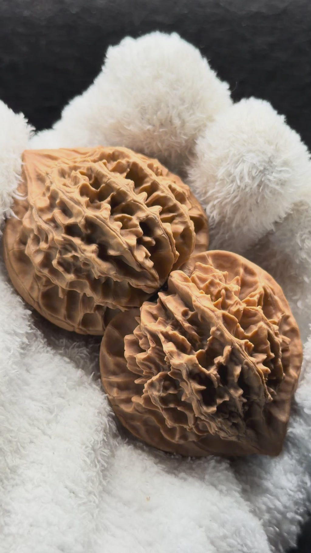 Qinling Lantern Wenwan Walnut · 41mm · Natural · Select Ritual