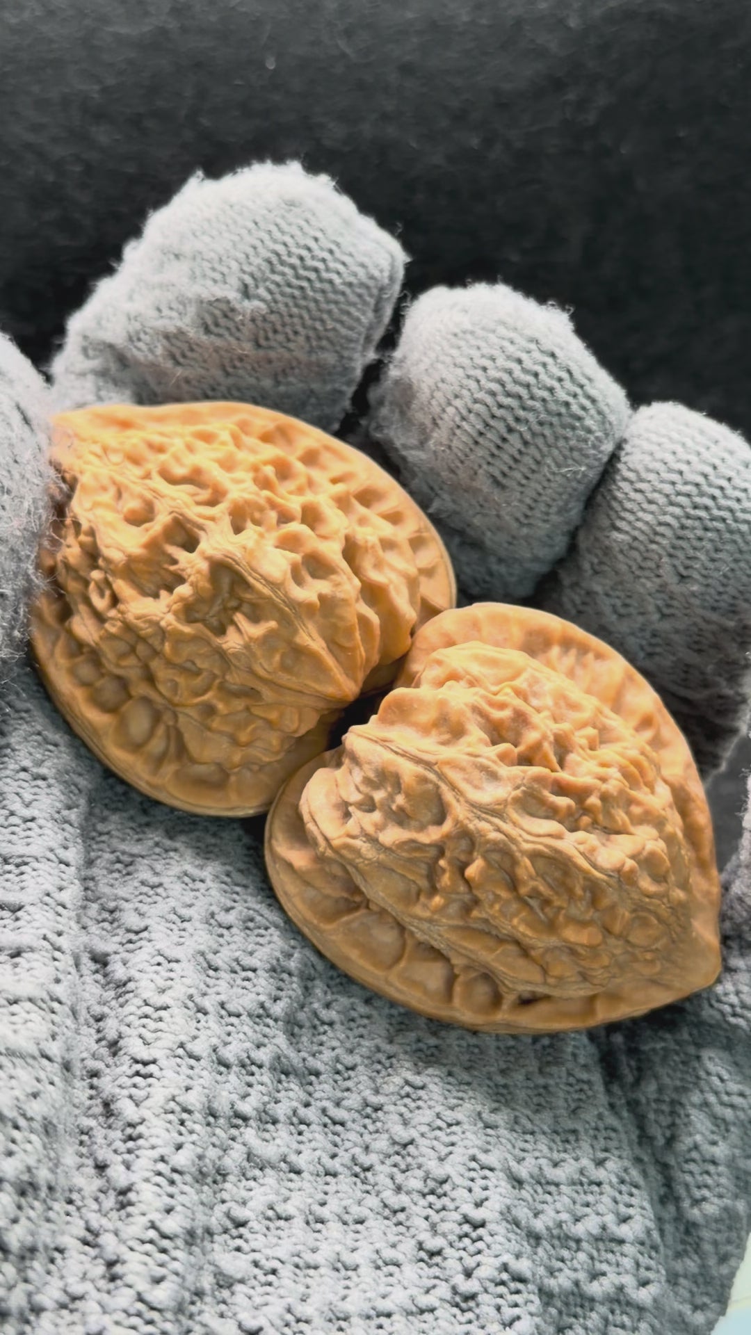 Golden Bull Wenwan Walnut · 38mm · Natural · Entry Ritual