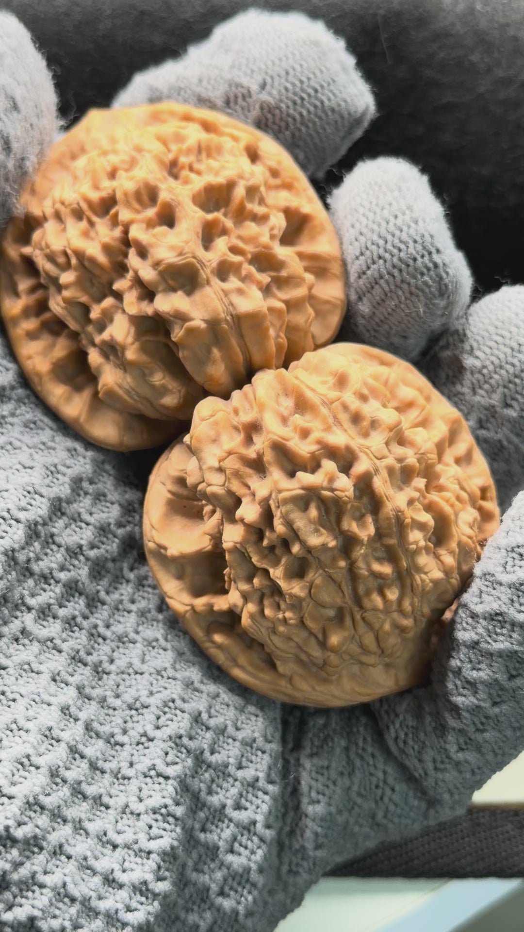 Wang Yong Official Hat Wenwan Walnut · 45mm · Natural · Entry Ritual