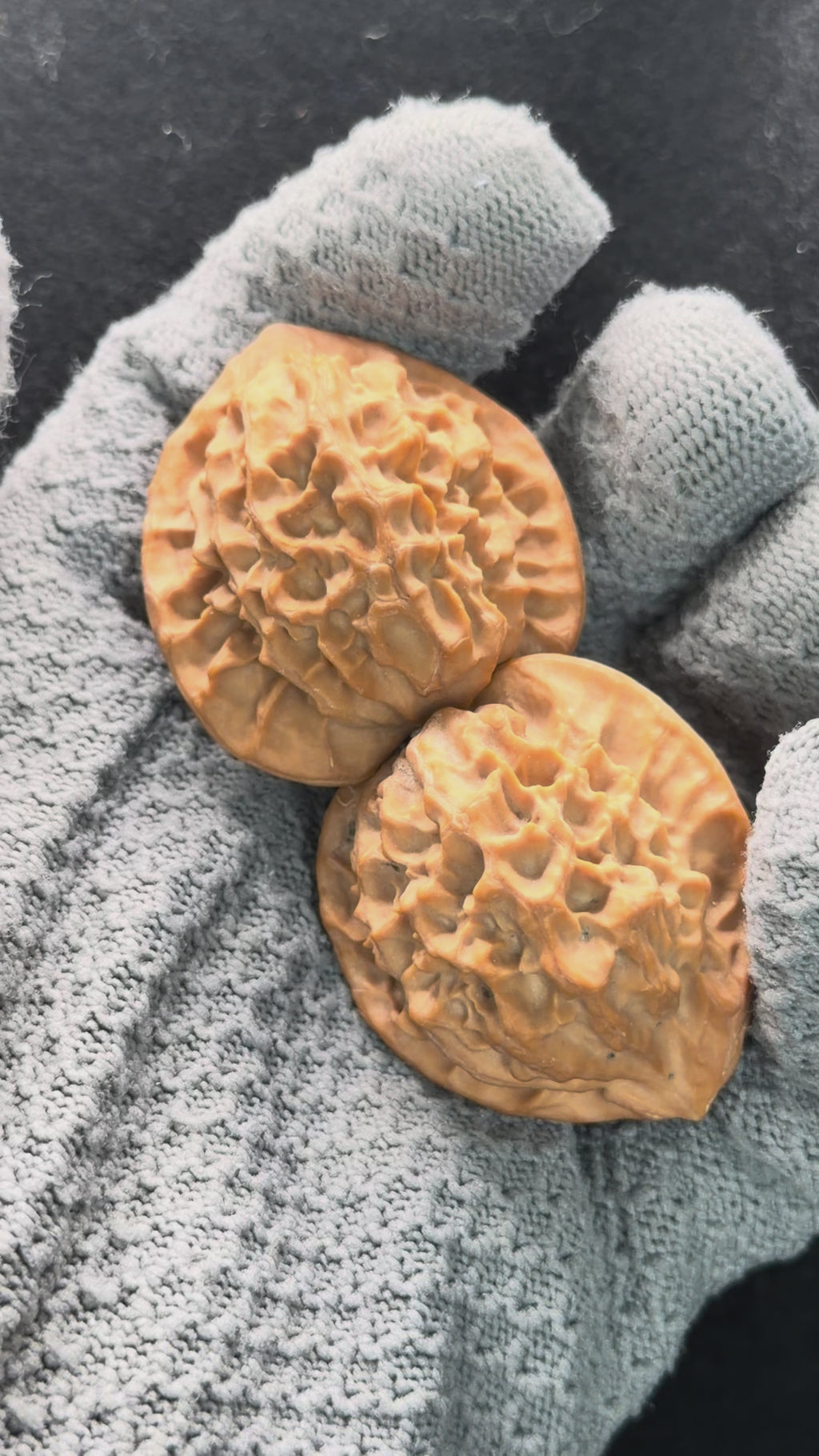Dragon Scale Wenwan Walnut · 39mm · Natural · Collector Ritual