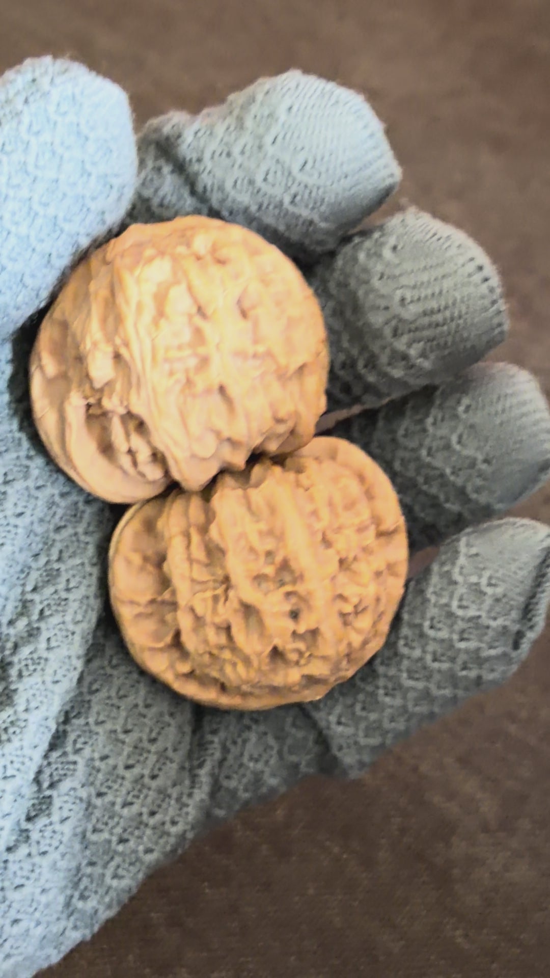 White Lion Wenwan Walnut· 43mm · Natural · Select Ritual