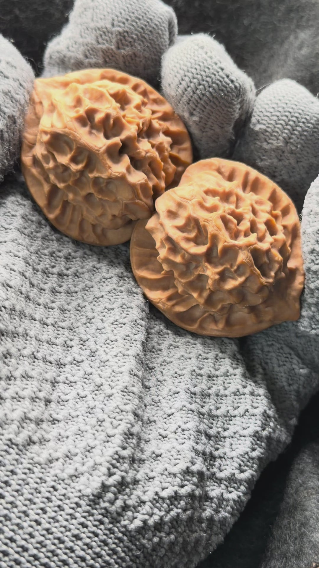 Dragon Scale Wenwan Walnut · 39mm · Natural · Collector Ritual