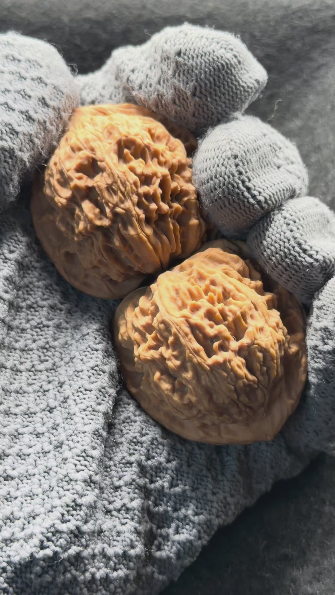 Red Lion Head Wenwan Walnut · 41mm · Natural · Premium Ritual
