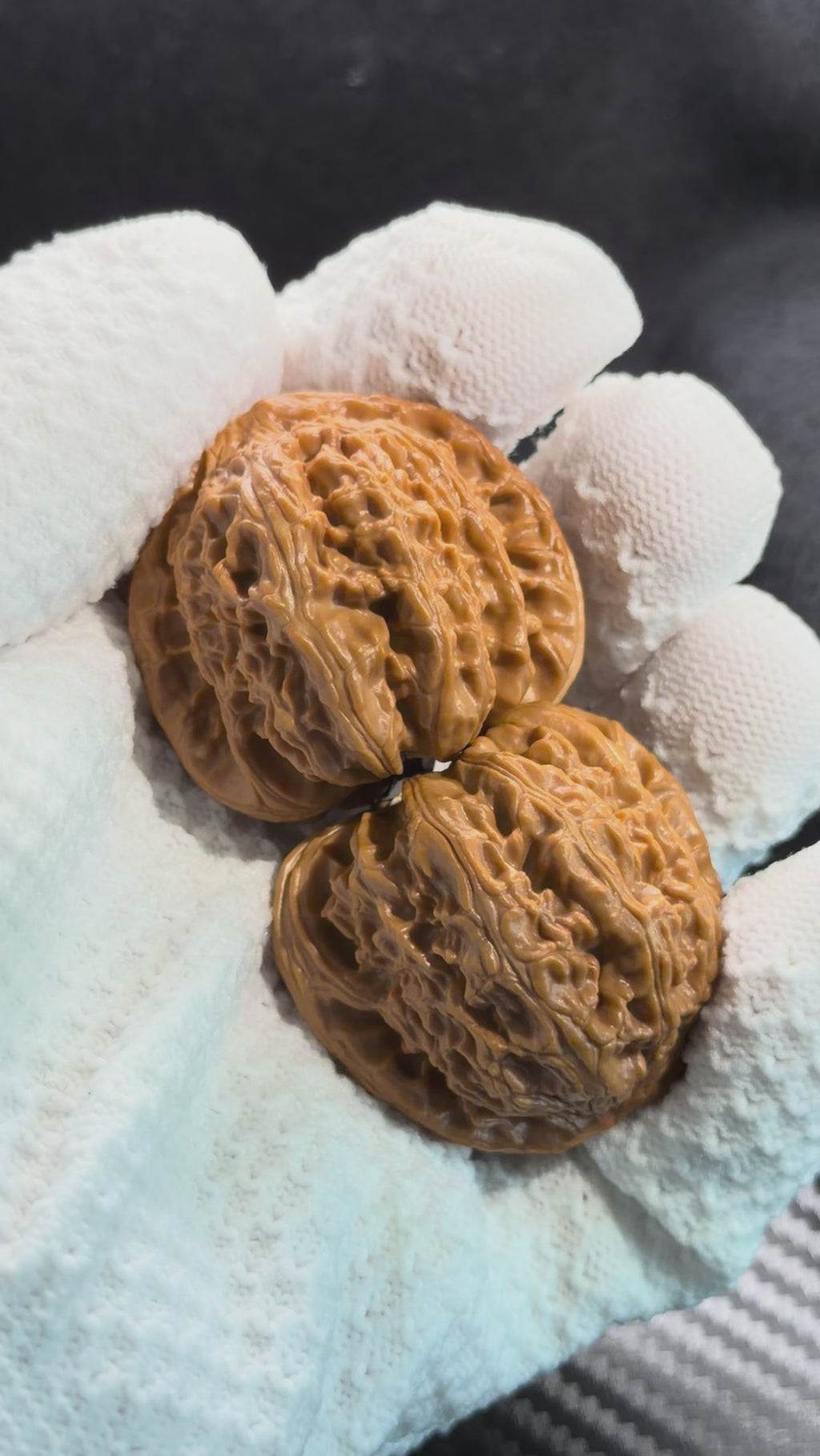 White Lion Wenwan Walnut · 41mm ·  Premium Ritual