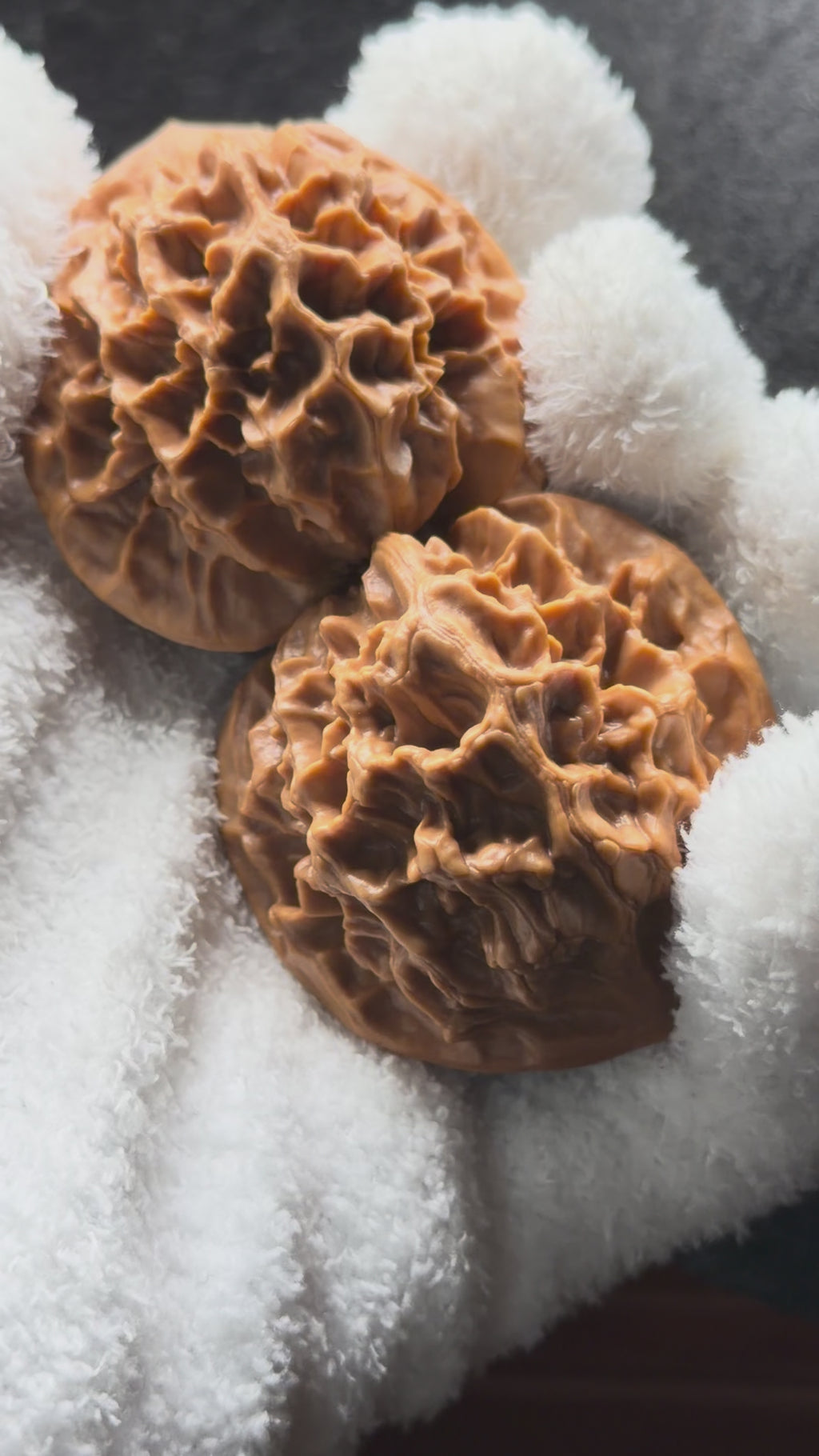 Emperor Wenwan Walnut  · 46mm · Select Ritual