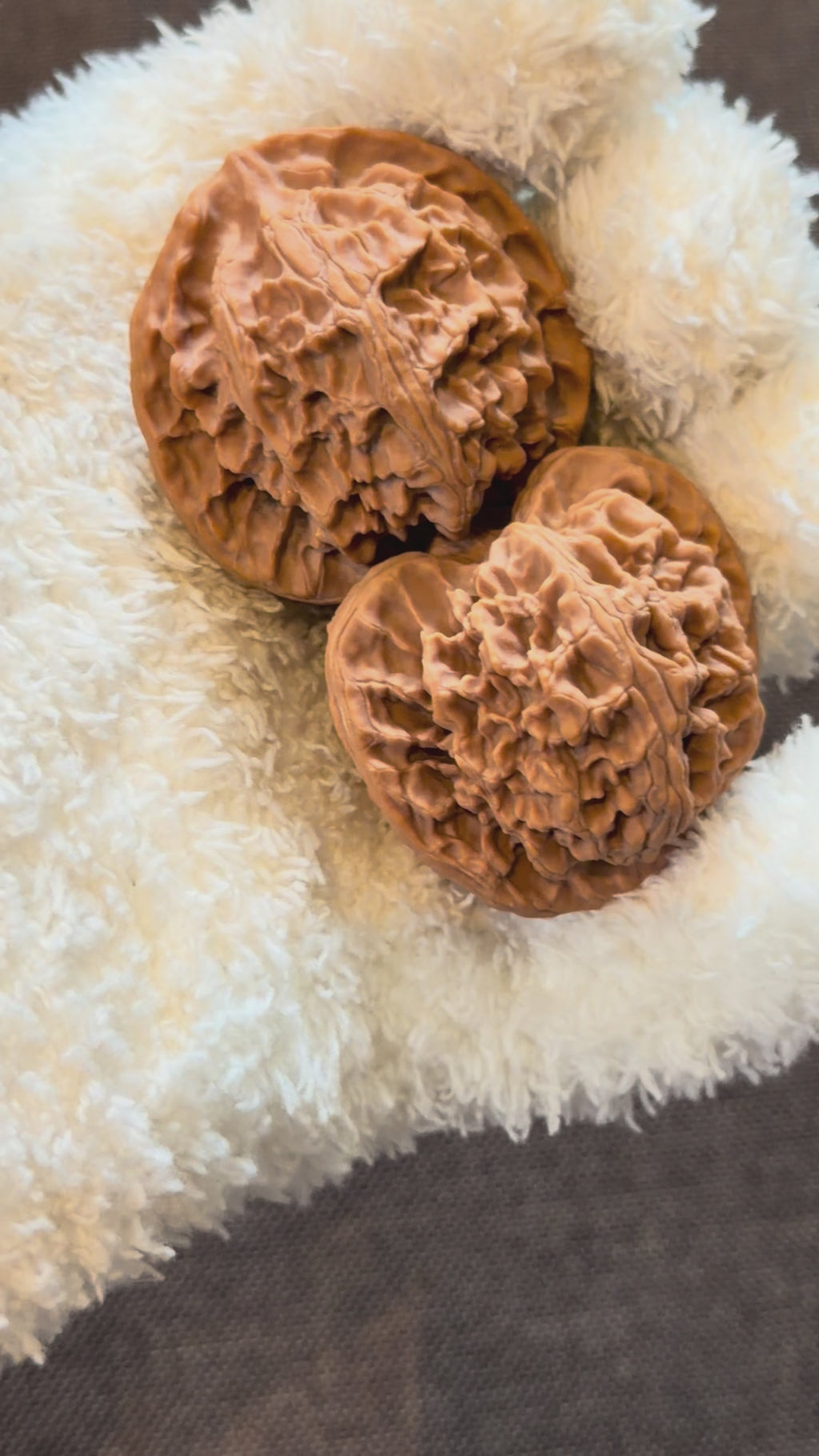 Apple Orchard Wenwan Walnut · 43mm · Natural · Select Ritual