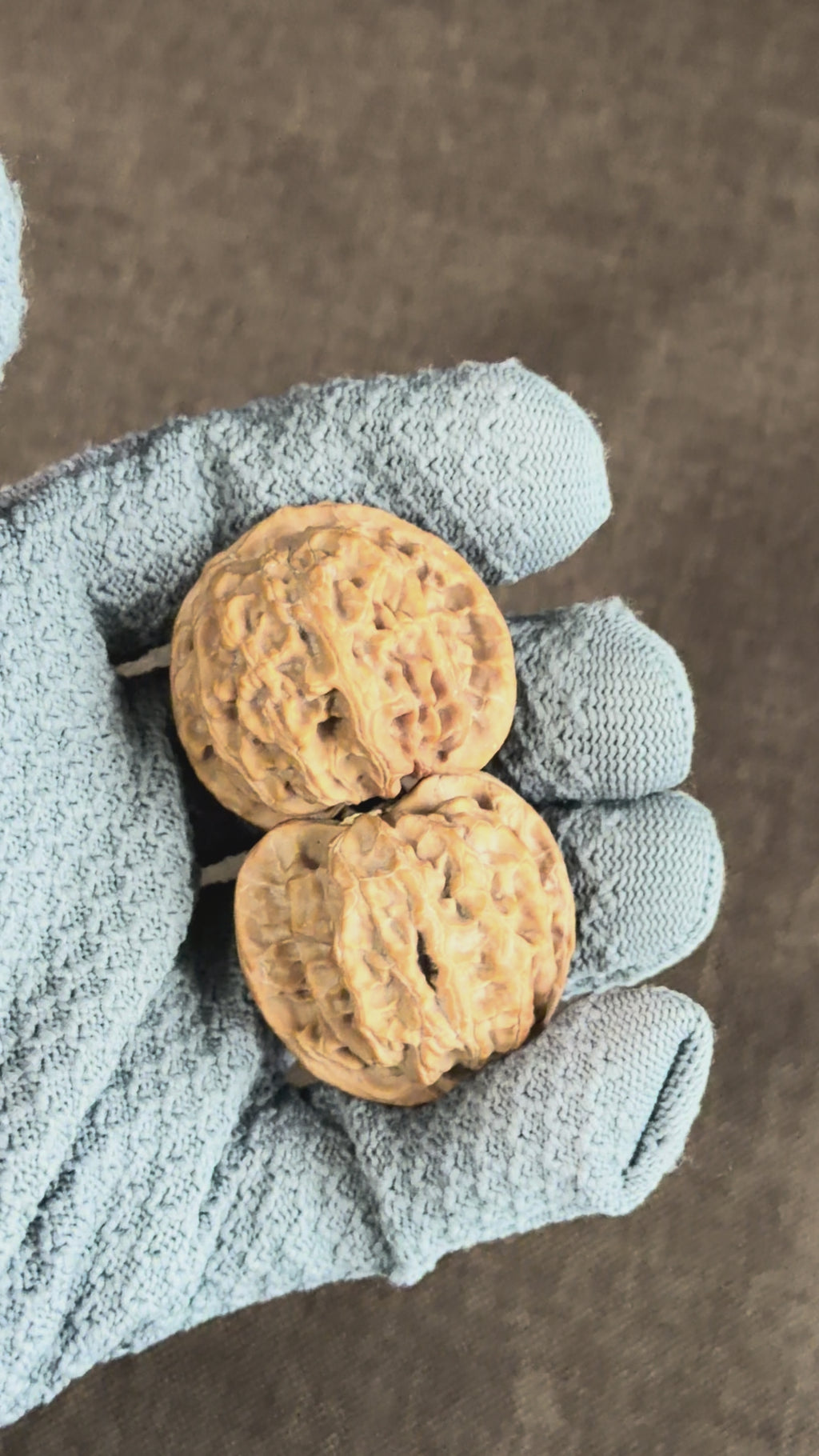 Apple Orchard Wenwan Walnut