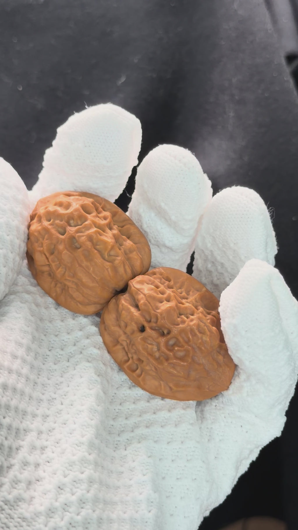 Toad Eye Wenwan Walnut · 33mm · Natural · Premium Ritual