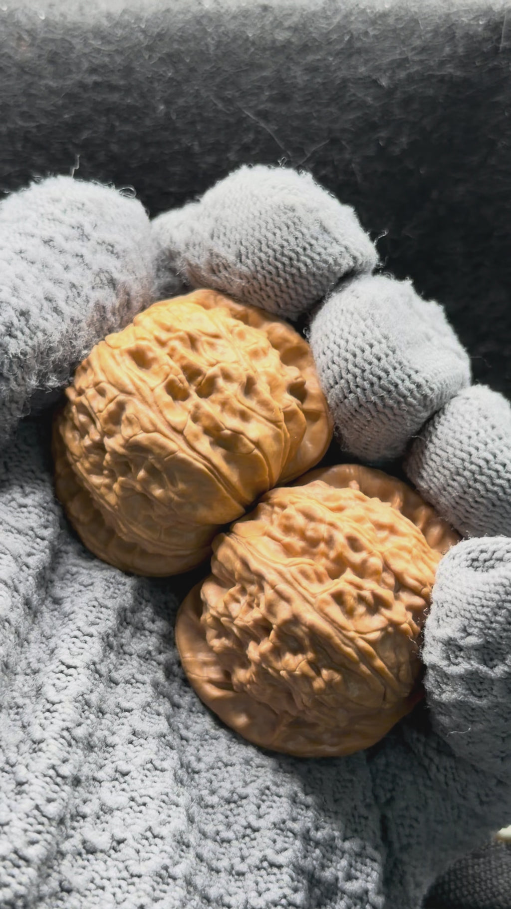 White Lion Wenwan Walnut  · 39mm · Entry Ritual
