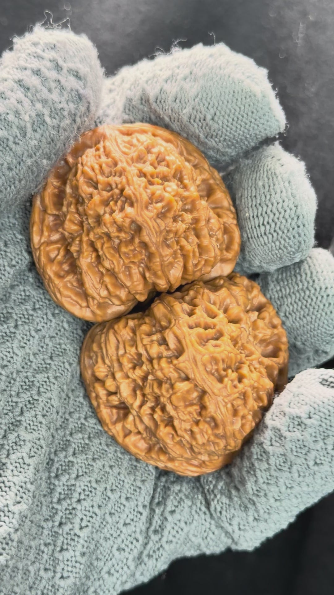 Nanjiang Stone Wenwan Walnut · 43mm · Natural · Premium Ritual