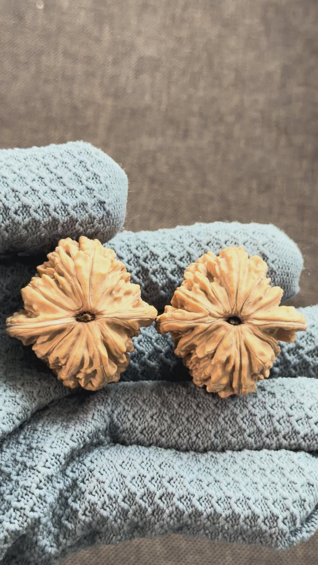 Four Towers Wenwan Walnut