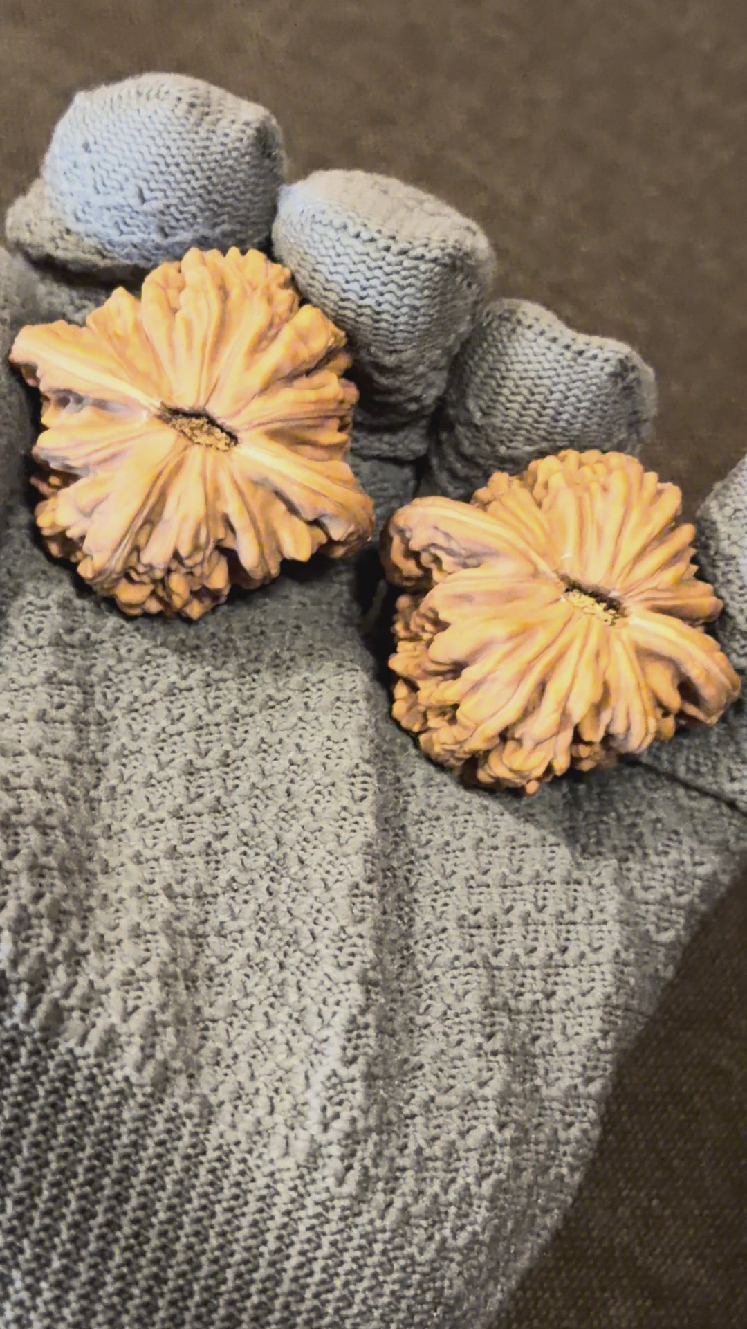 Four Towers Wenwan Walnut · 43mm · Natural · Select Ritual