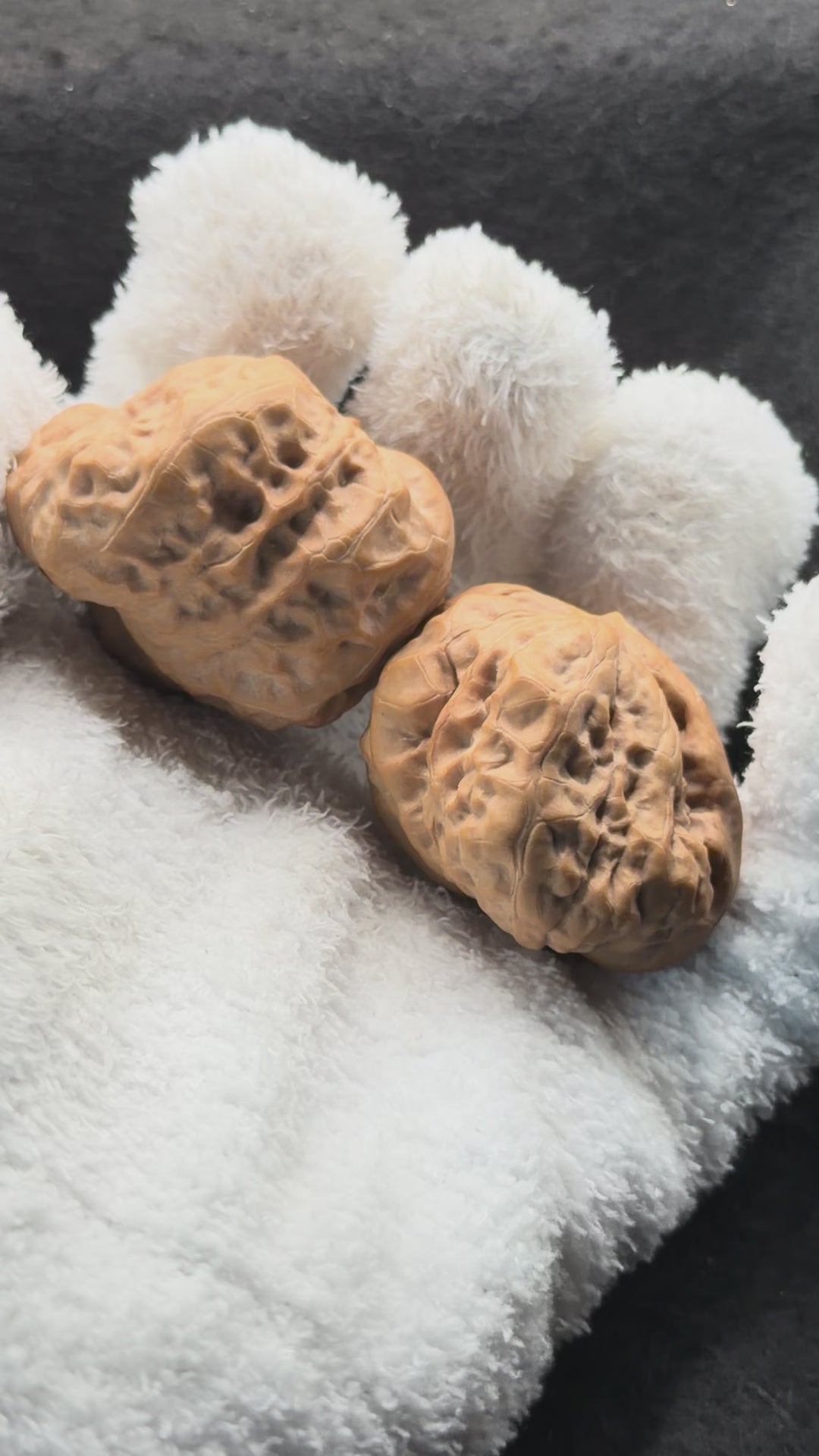One-Rib Toad Head Wenwan Walnut · 39mm · Select Ritual